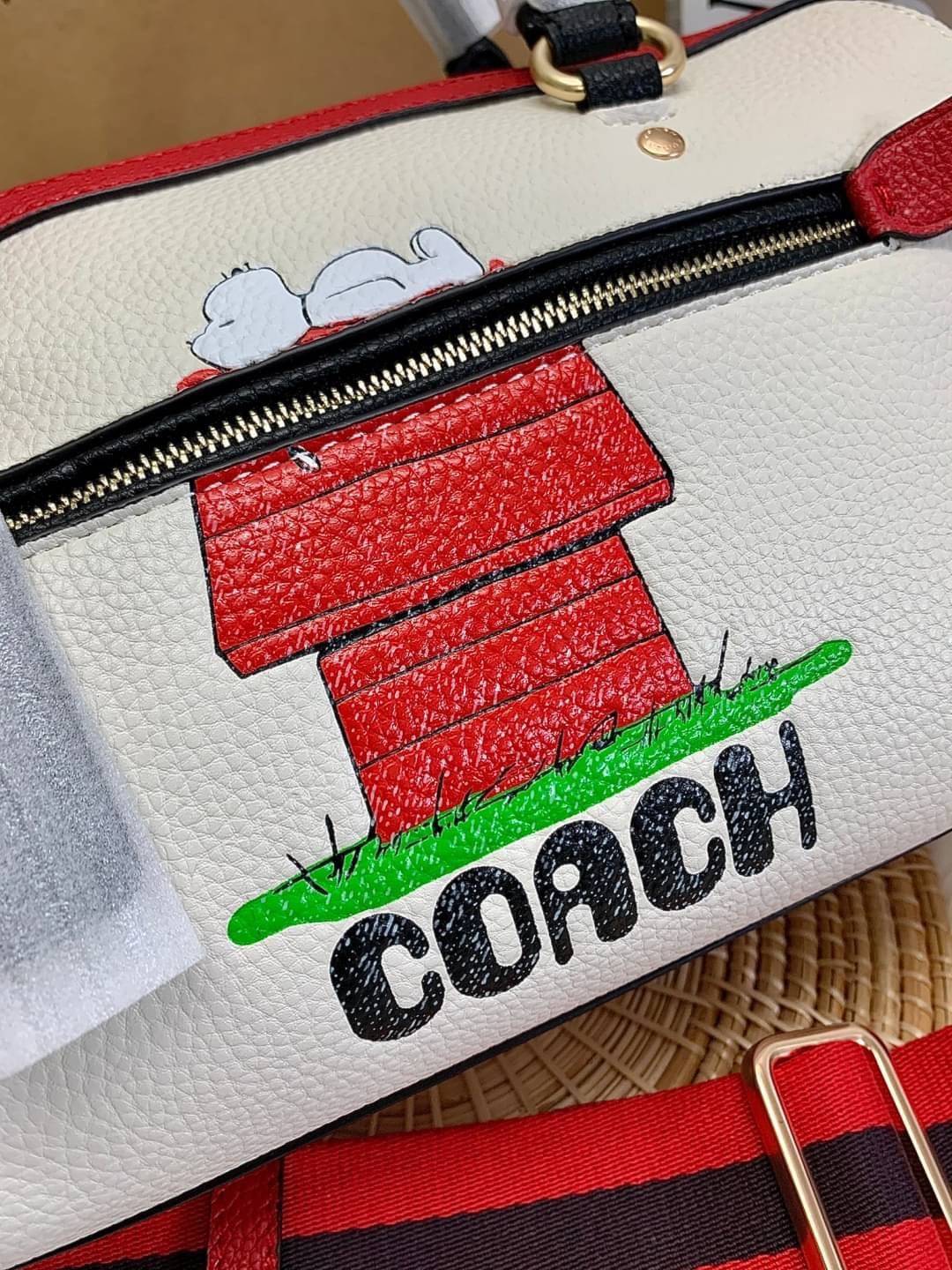LIMITED EDITION💥 🌈สวย+คุณภาพ สินค้าต้องมีค่า Coach X Peanuts Rowan Satchel With Snoopy ((C6164)) พร้อมส่งที่ไทย ใหม่ล่าสุด ห้ามพลาดค่าา! สวยกันให้สุด กับกระเป๋าทรงหมอน ขนาดกลางกำลังดี หนังแท้นิ่ม ลายหนังสวยงามมากๆค่ะ 🔺ด้านหน้ามีโลโ