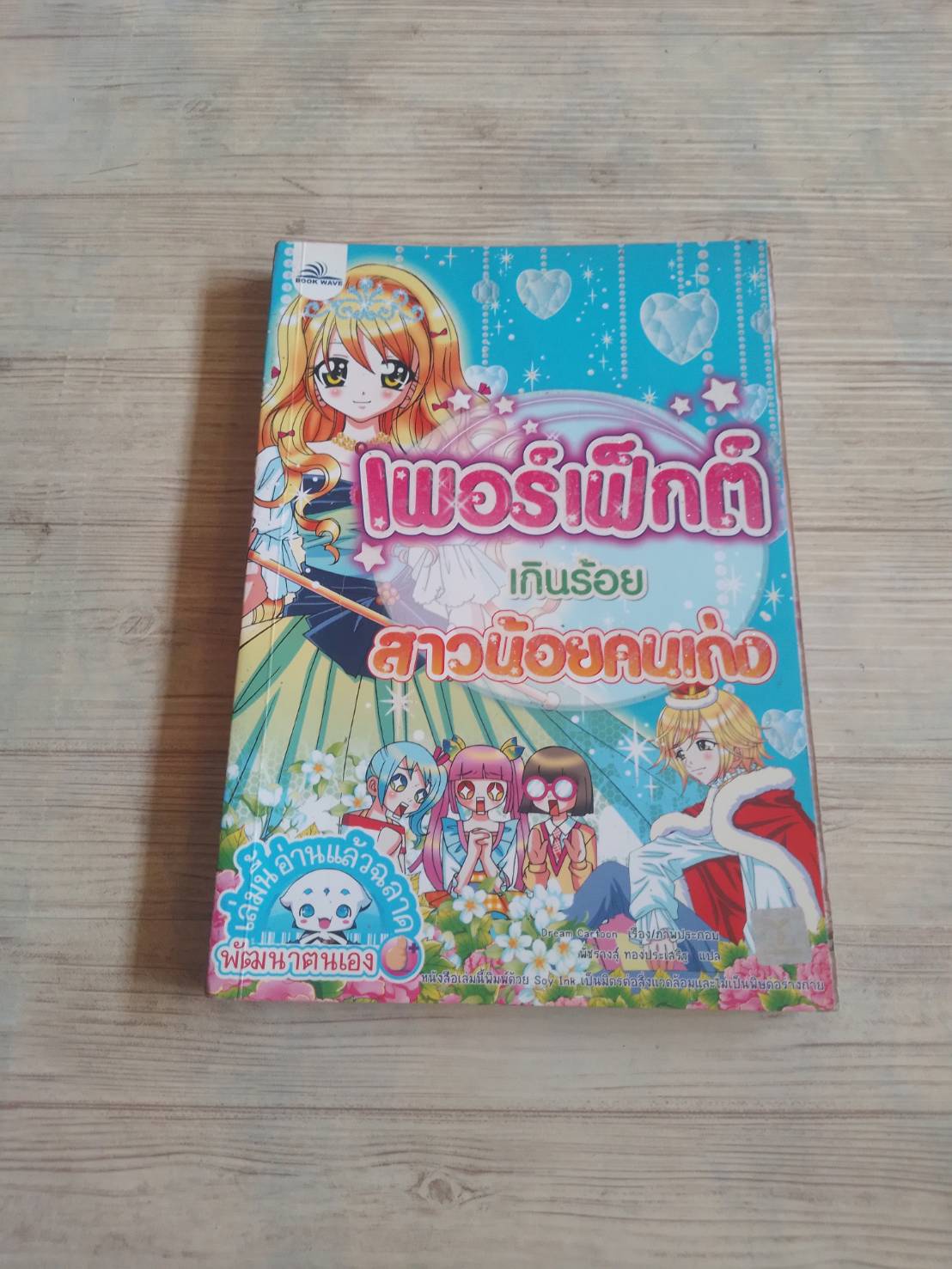 เพอร์เฟ็กต์เกินร้อย สาวน้อยคนเก่ง Dream Cartoon เรื่องและภาพ พัชรางสุ์ ทองประเสริฐ แปล