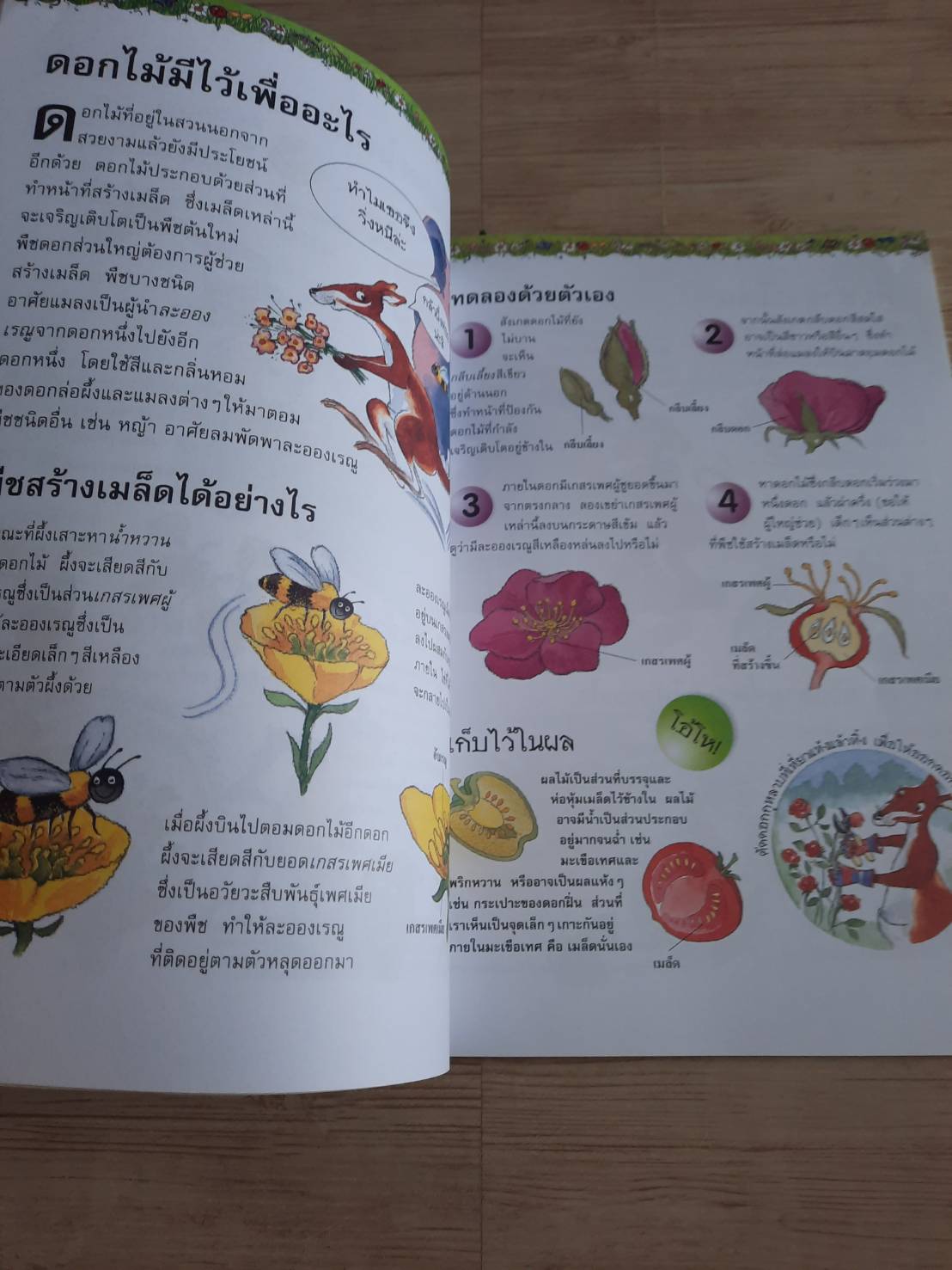 การค้นพบสุดมหัศจรรย์ วิทยาศาสตร์มีขีวิต ! พิมพ์ครั้งที่ 3 Janice Lobb เขียน มีนา โอวรารินทร์และรัตนา ใจซื่อสมบูรณ์ แปล***สินค้าหมด***