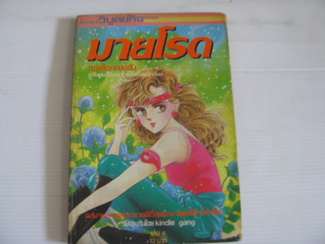 มายโรด เล่ม 6 (เล่มจบ) อิเคซึมิ จิเอะโกะ เขียน ***สินค้าหมด***