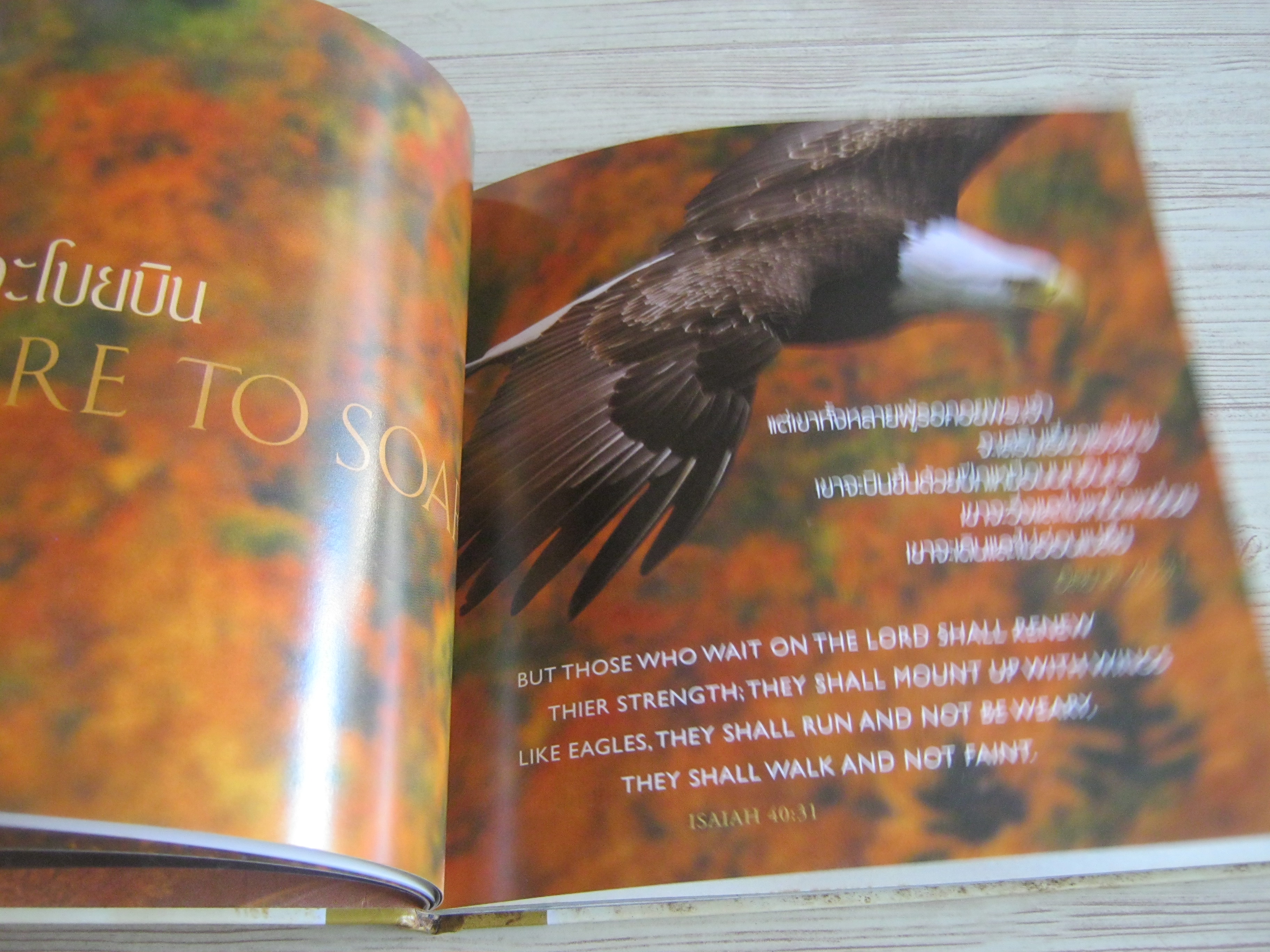 คุณลักษณะแห่งความสำเร็จ (The Nature of Success) Mac Anderson เขียน