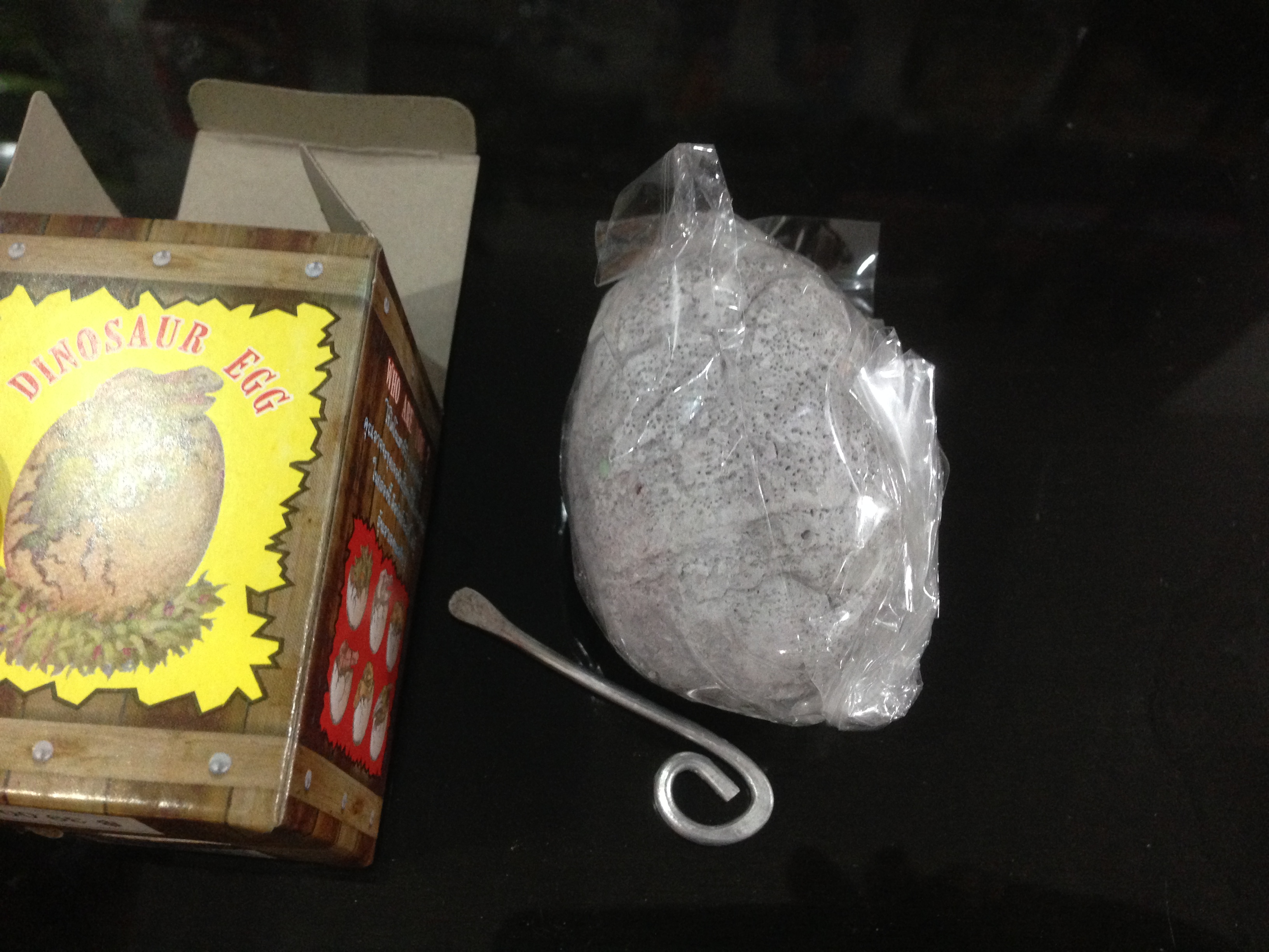 ขุดฟอสซิลไข่ไดโนเสาร์ขนาดเล็ก