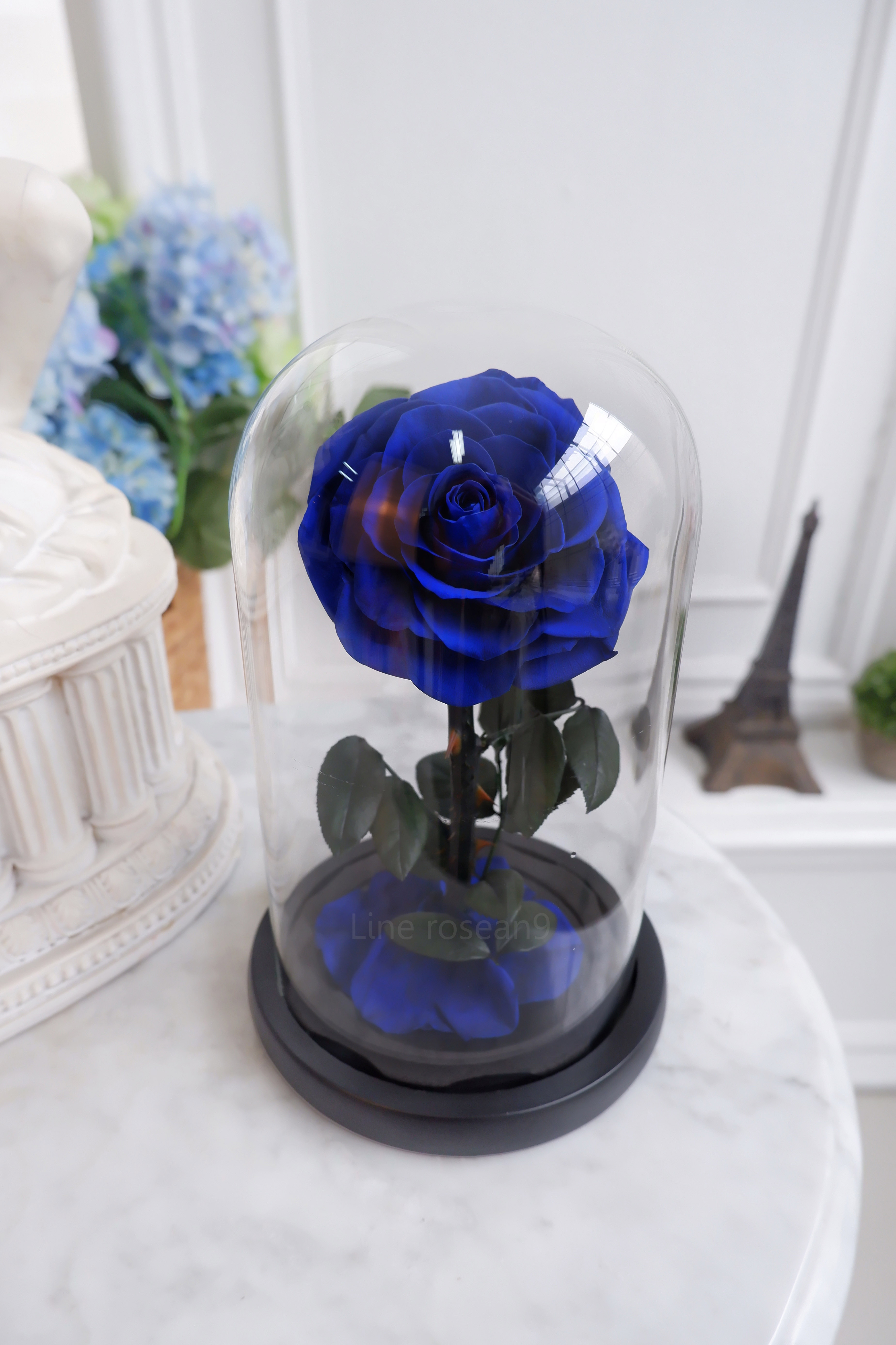 กุหลาบอมตะ กุหลาบในโหลแก้ว กุหลาบสีน้ำเงิน กุหลาบโฉมงามกับเจ้าชายอสูร กุหลาบbeauty and the beast