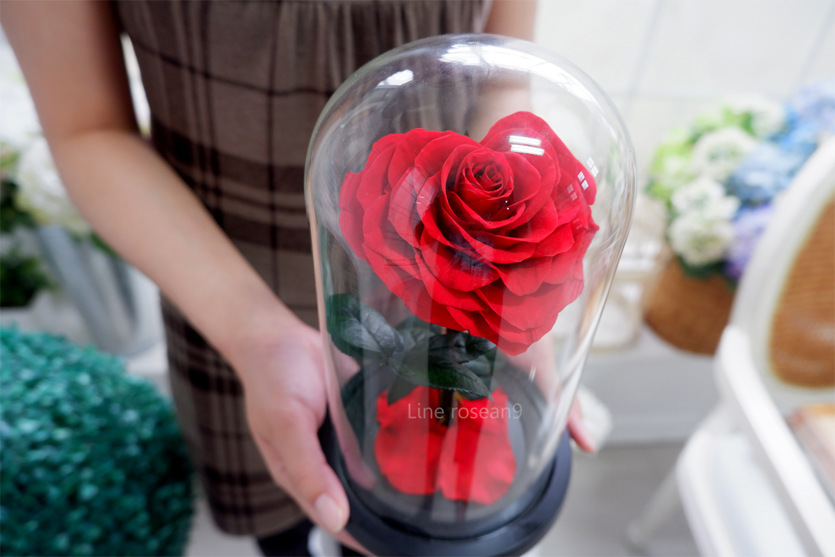 กุหลาบอมตะ กุหลาบอมตะหัวใจ