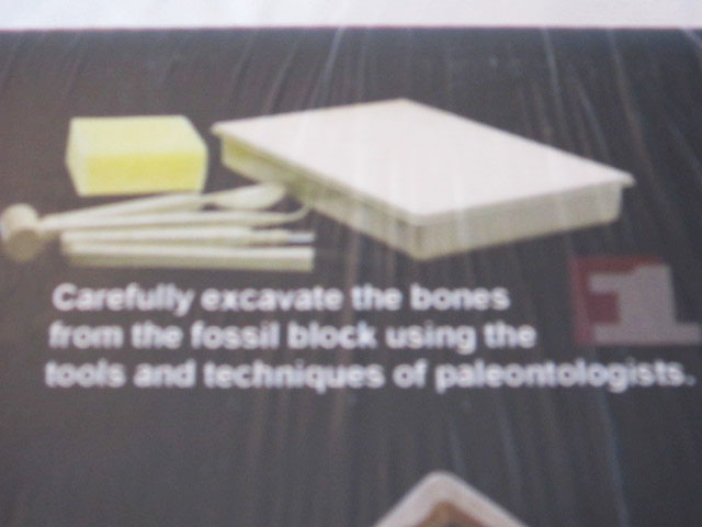 ชุดขุดฟอสซิลDig it Twice (แบบเล่นสองรอบ ขุดแล้วนำมาประกอบเป็นโมเดลได้)