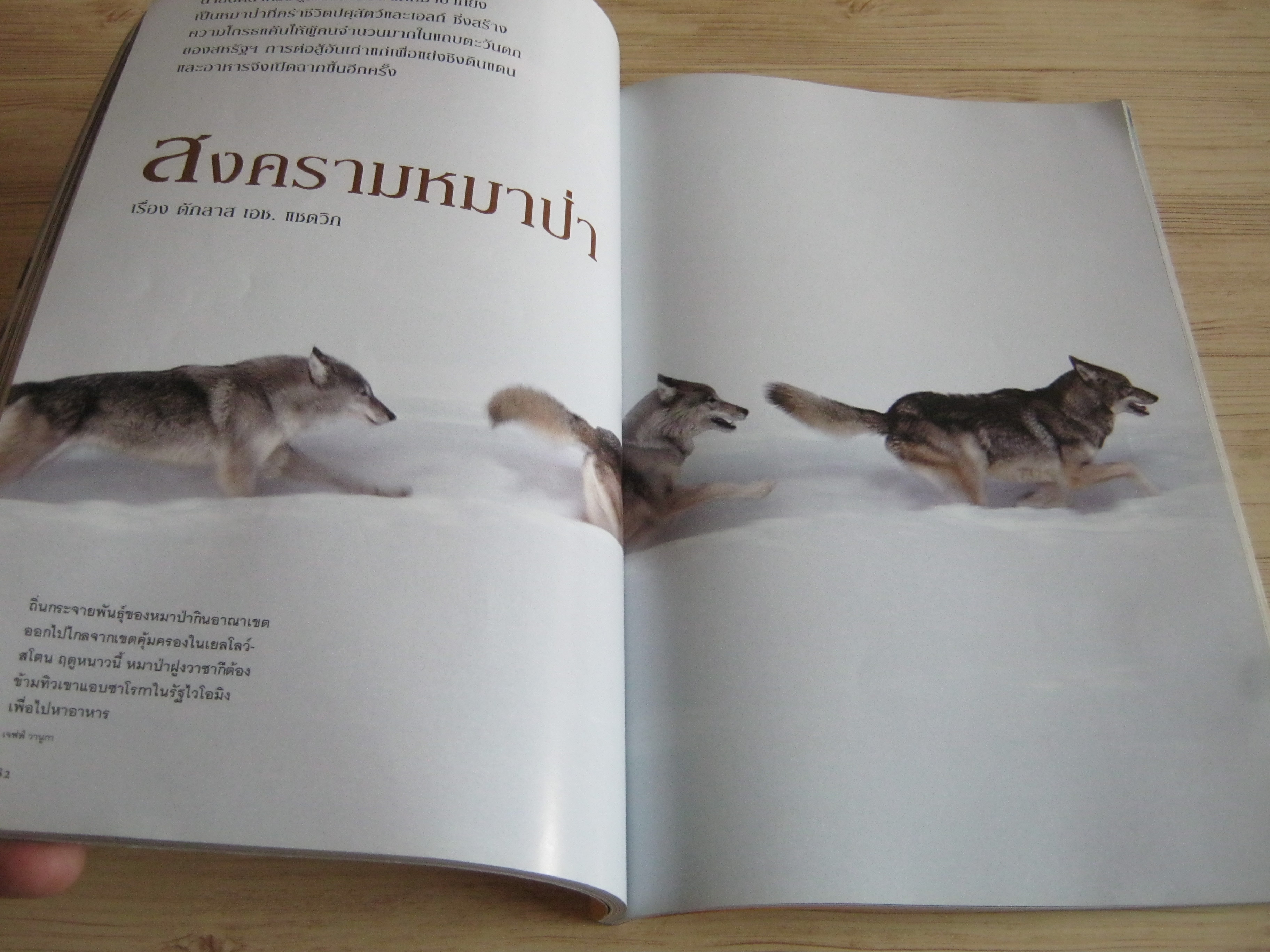 NATIONAL GEOGRAPHIC ฉบับภาษาไทย มีนาคม 2553 เมื่อชาละวันครองพิภพ