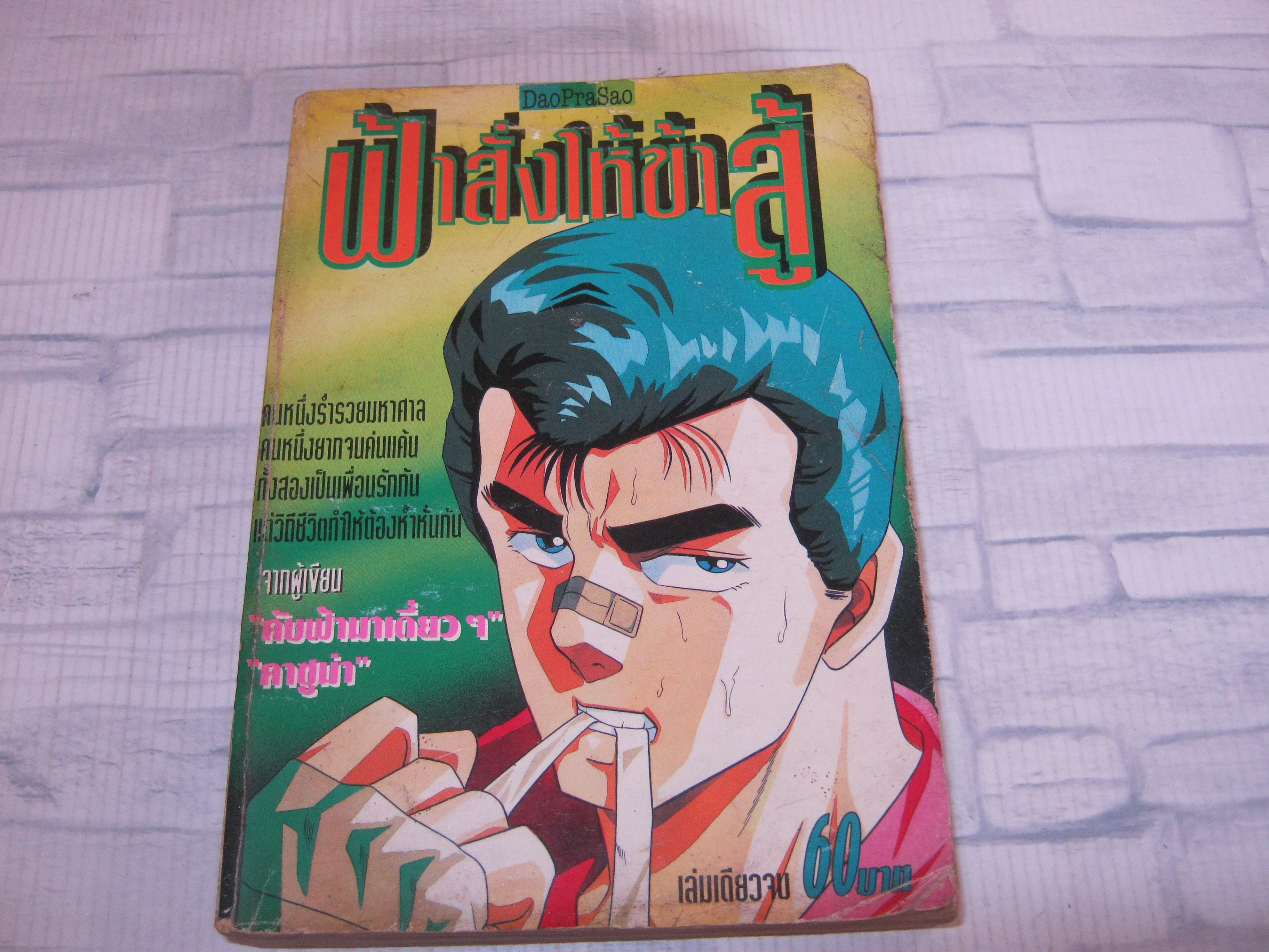 ฟ้าสั่งให้ข้าสู้ เล่มเดียวจบ***สินค้าหมด***