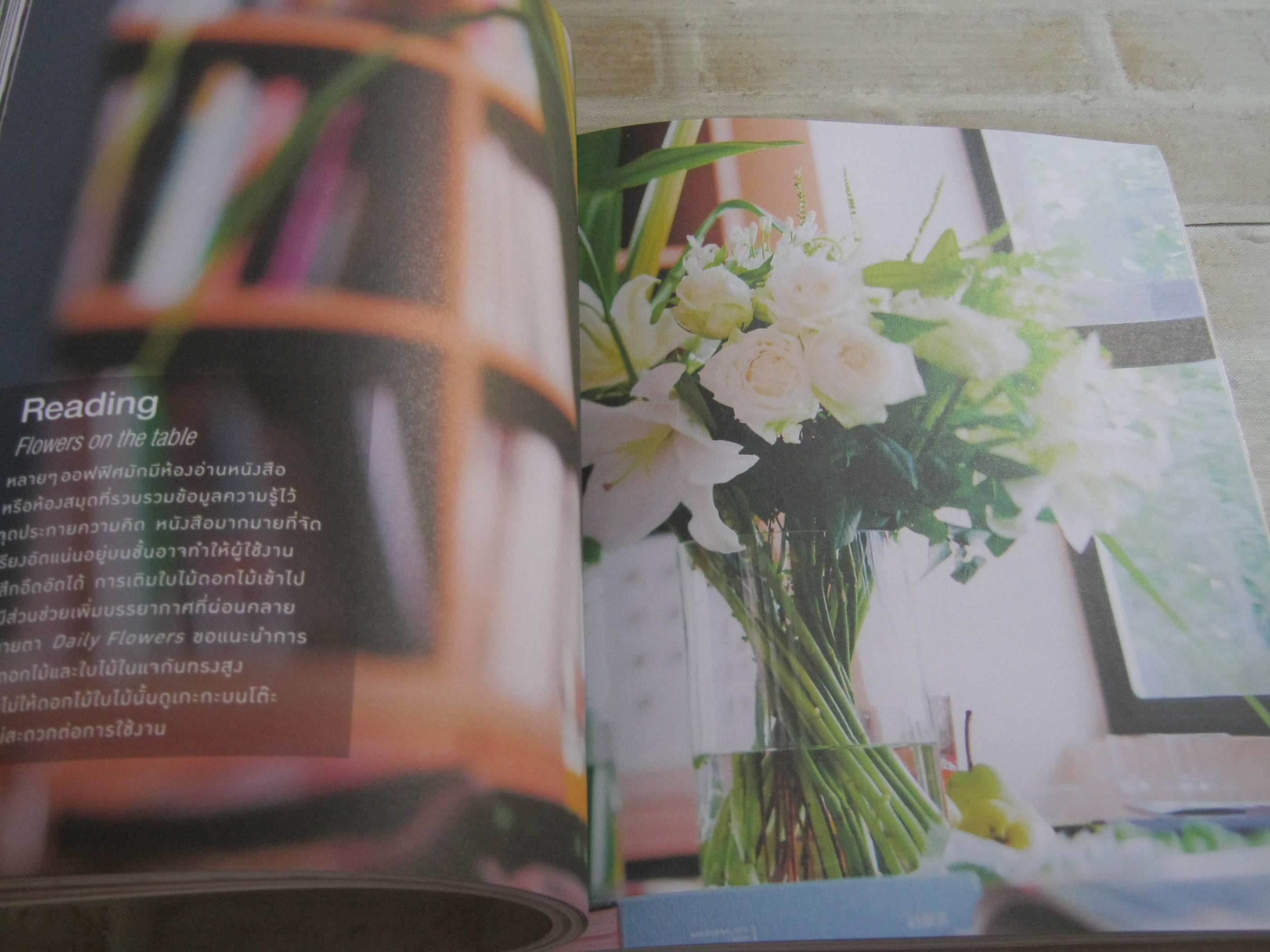 Daily Flowers โดย ปณิธาน ทองสถิตย์