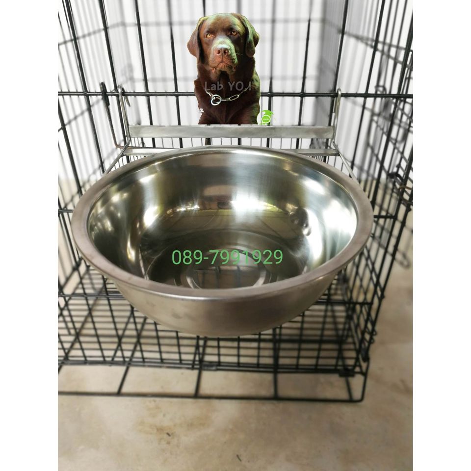 ชามอาหารสแตนเลส 21 C m สุนัขพันธ์ใหญ่ หมาใหญ่ แบบแขวน ชามแขวน ชามสแตนเลส ชามอาหารสุนัขอย่างดี