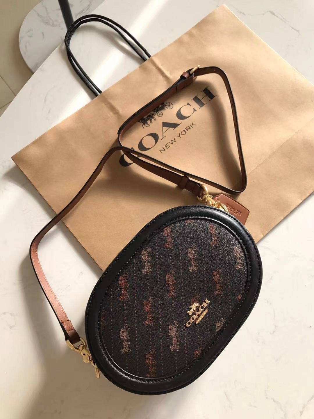 COACH C4057 CAMERA BAG WITH HORSE AND CARRIAGE DOT PRINT (IMM6H)