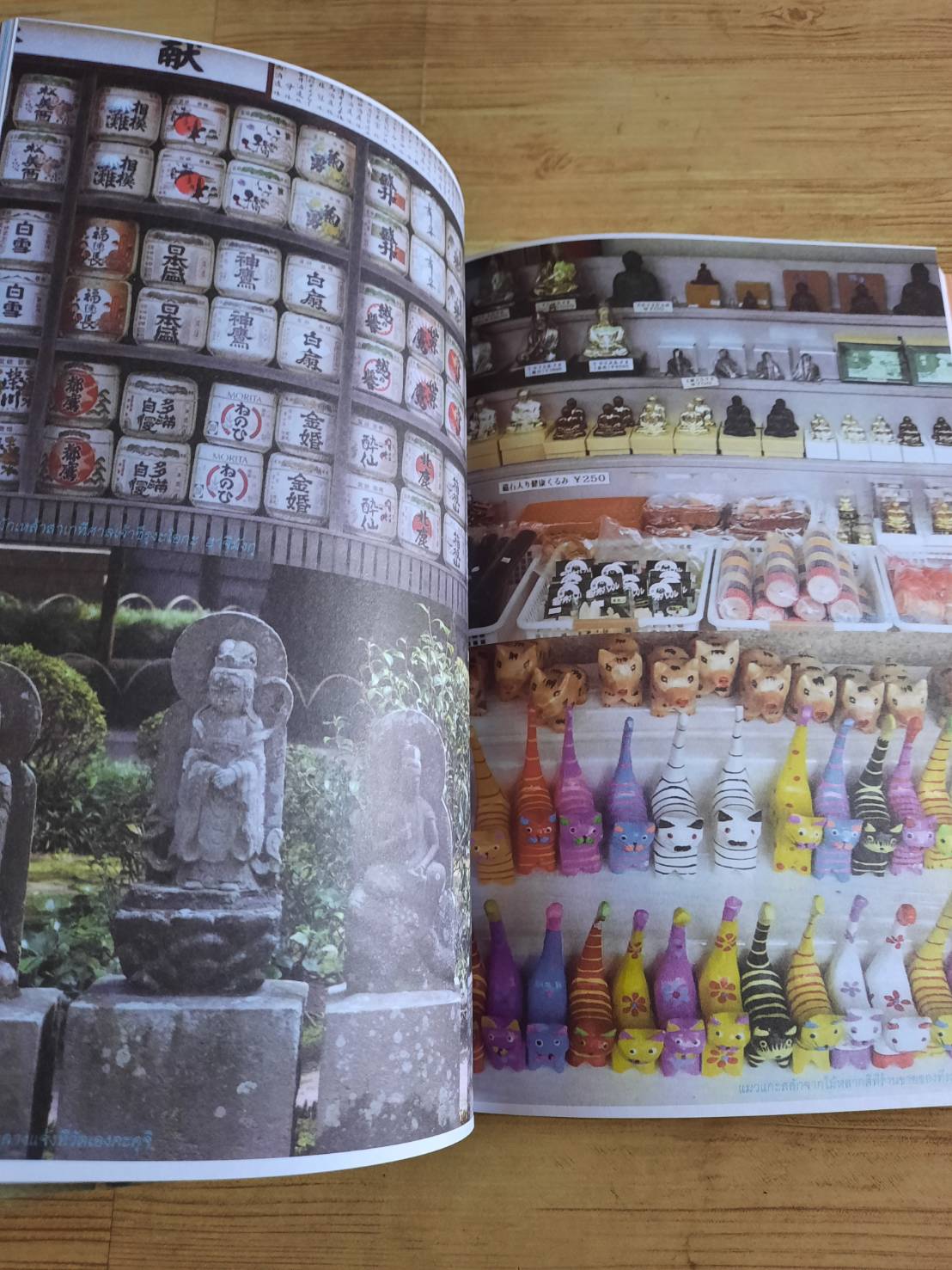 ใคร ๆ ก็ไปเที่ยวญี่ปุ่น เมื่อซากุระบานทั่วบ้านทั่วเมือง อดิศักดิ์ จันทร์ดวง เรื่องและภาพ