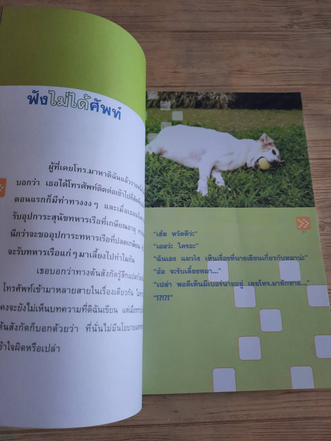 ใครว่าป้าชื่อ...วองโซ ประทานพร สิงหะ เขียน