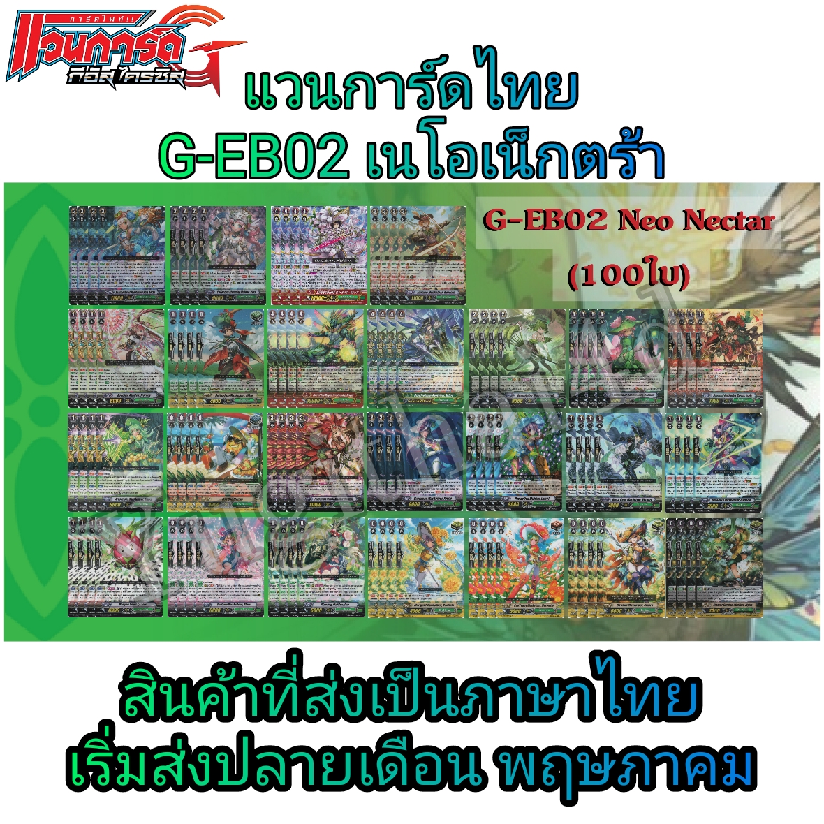 แวนการ์ด VGT-G-EB02 G-EB03 แบบยกกล่อง และแยกใบGR/ZR ขายดี