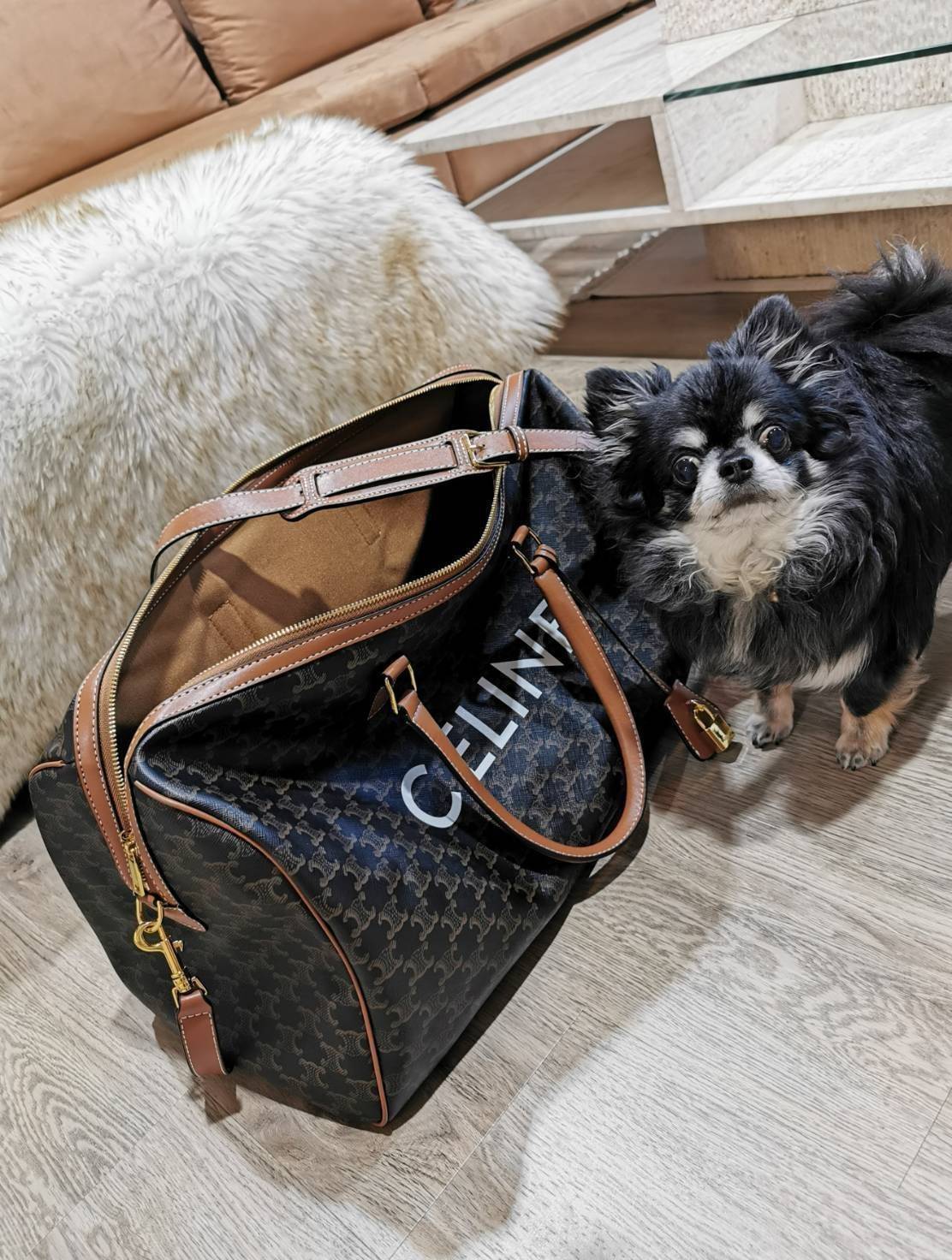 CELINE TRIOMPHE CANVAS BOSTON TRAVEL BAG VIP GIFT WITH PURCHASE (GWP) Limited Edition จาก CELINE PERFUME DUTYFREE วัสดุ TRIOMPHE CANVAS ใบใหญ่จุสัมภาระได้เยอะสุดๆหนังขึ้นลาย Signature สวยหรูสุดคลาสสิค ดีไซน์ไม่มีเอ้าท์ เปิดปิดด้วยซิปแบรนด์พร้อม Tag ห้อยแม