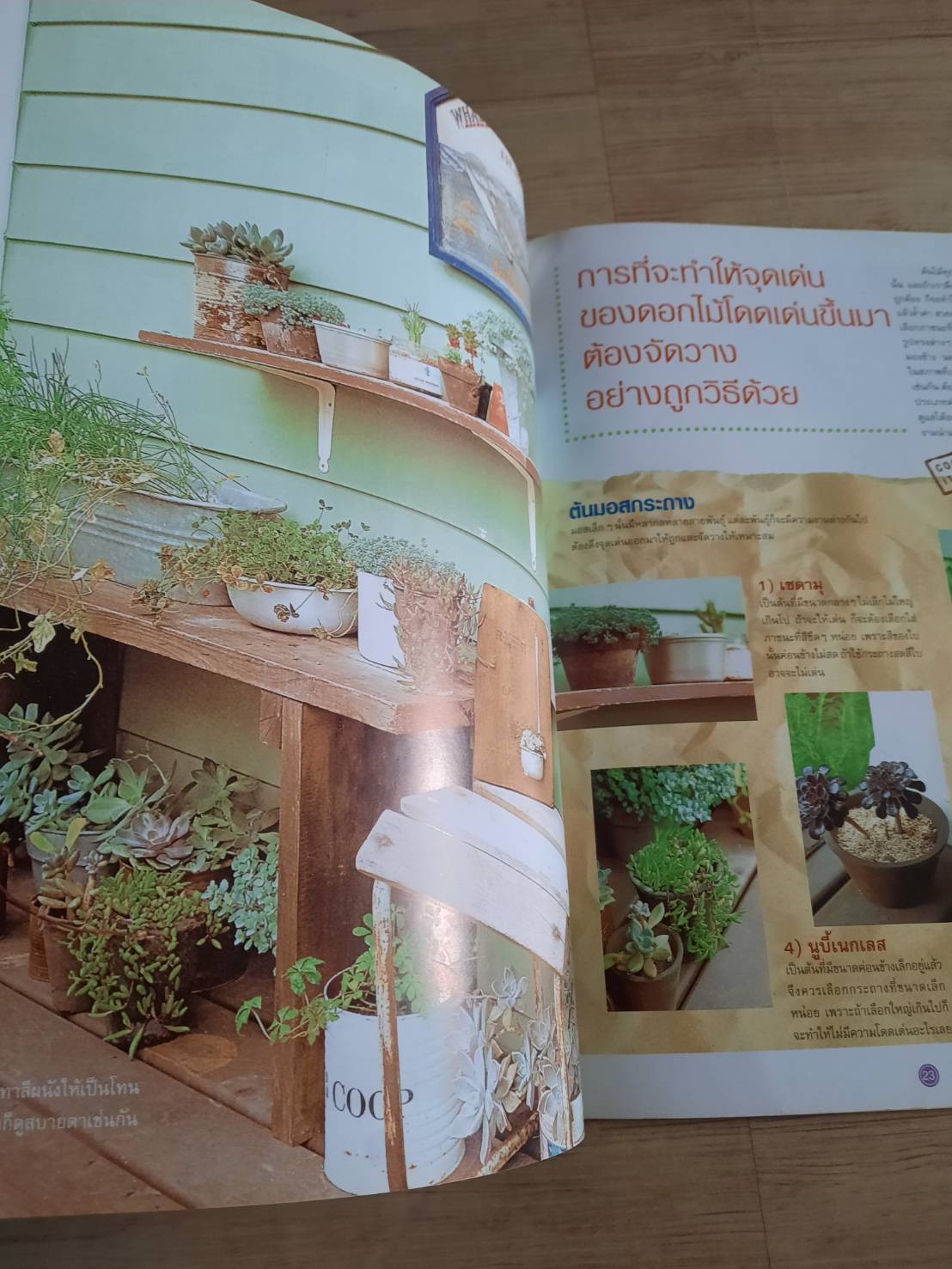 ไอเดียการแต่งสวน เล่ม 4***สินค้าหมด***