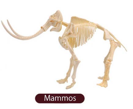 ของเล่นชุดขุดฟอสซิลโครงกระดูกไดโนเสาร์สำหรับเด็ก