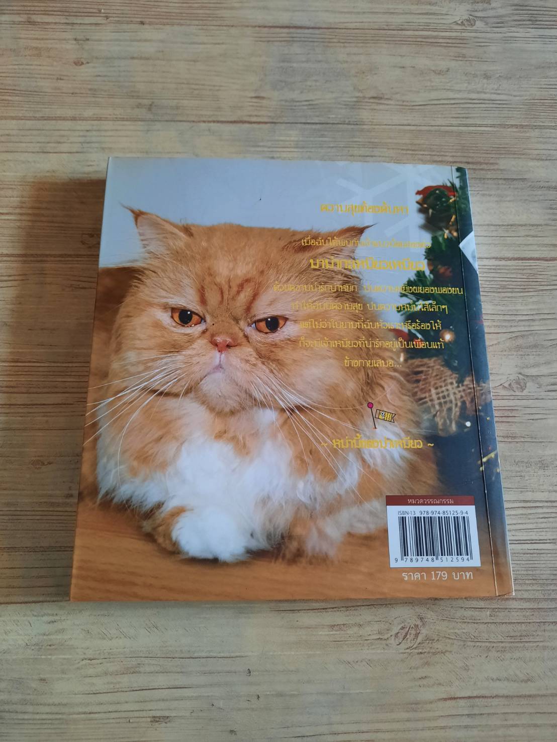 มาม่ากะเหมียวเหมียว หม่ามี้ของม่าเหมียว เขียน