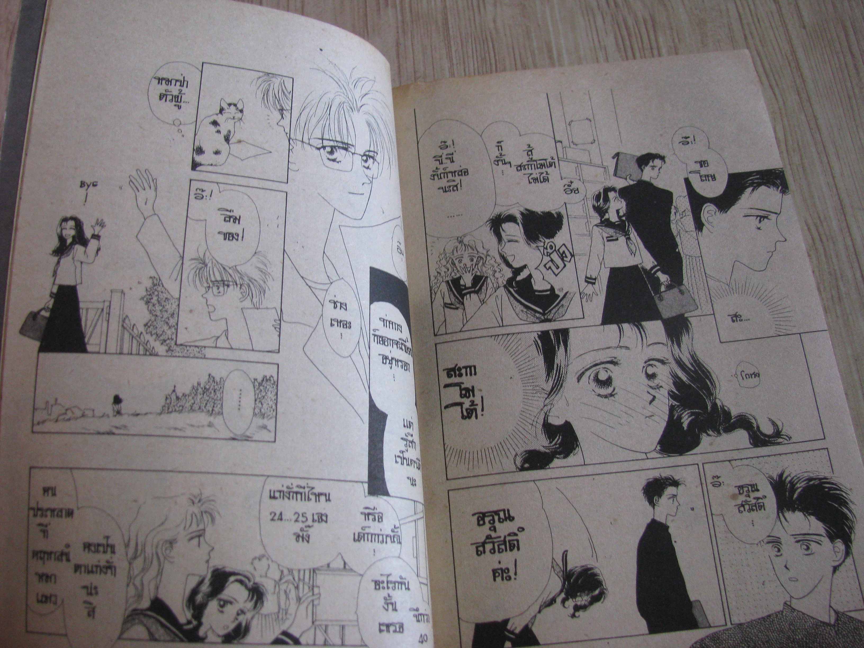 คุณหมาป่าที่รัก เล่มเดียวจบ