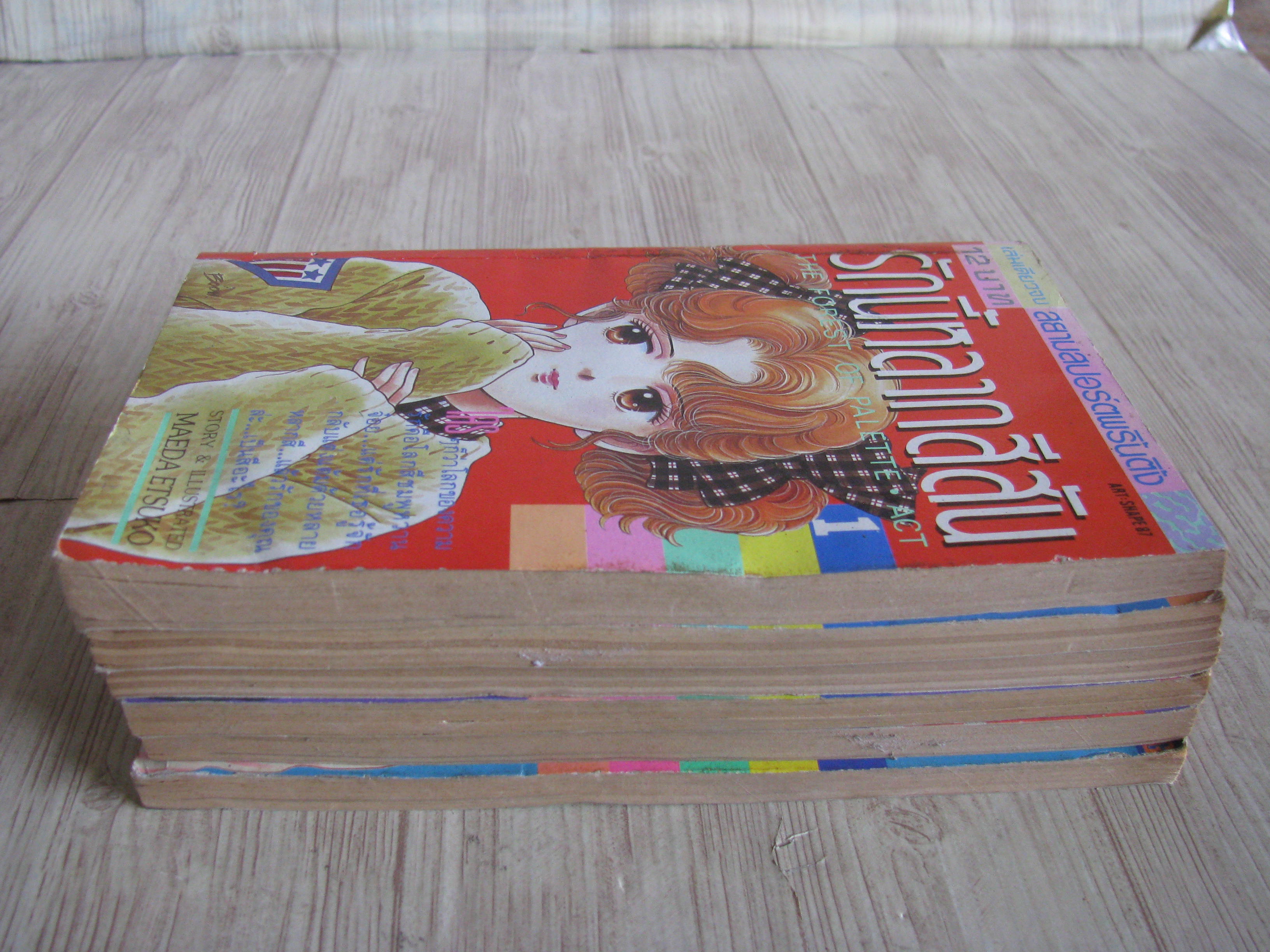 รักนี้หลากสีสัน ชุด 1- 6 (ยังไม่จบชุด)