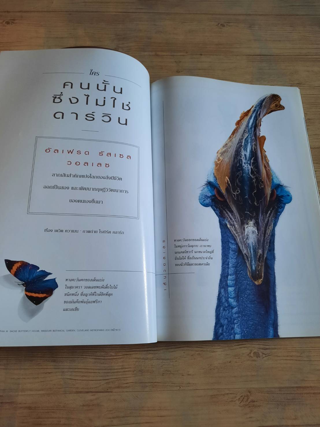 NATIONAL GEOGRAPHIC ฉบับภาษาไทย ธันวาคม 2551 คนไทยกับน้ำมัน ทางเลือกคือทางรอด