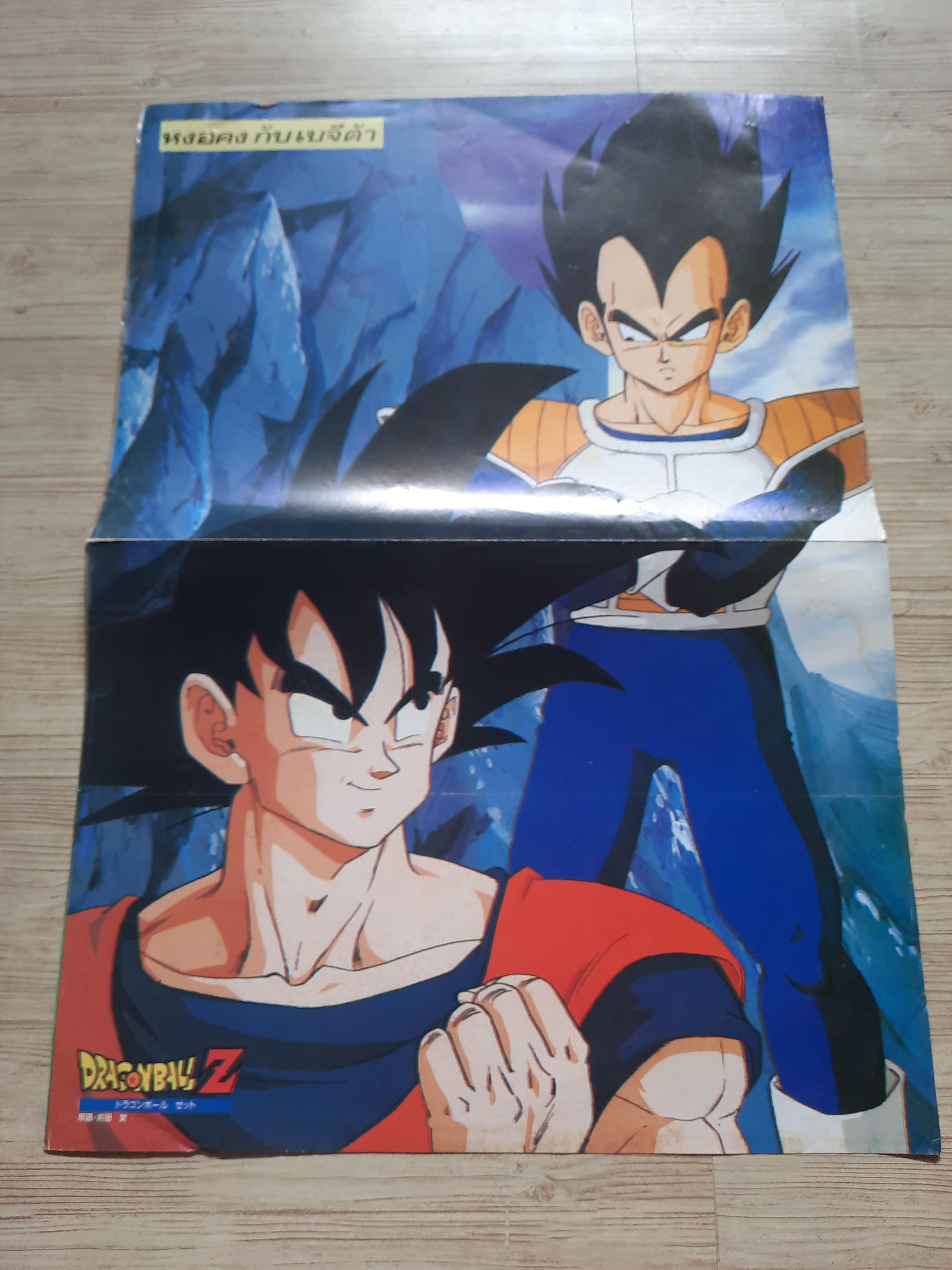 หนังสือรวมภาพ DRAGONBALL Z (เล่มใหญ่)