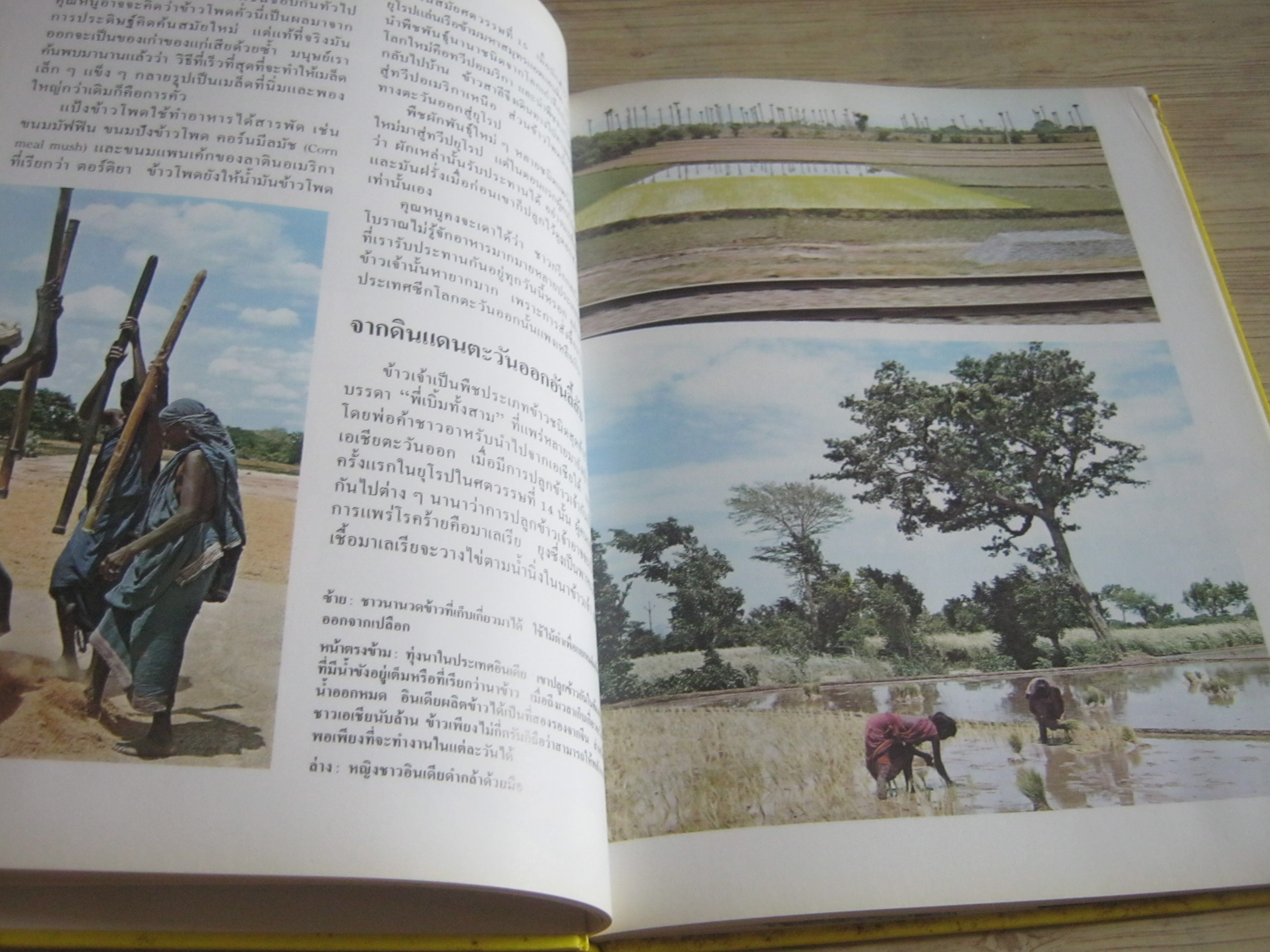 Disney's โลกมหัศจรรย์ เล่มที่ 2 ธรรมชาติ Sergio Frugis เรื่อง ศูนย์การแปล คณะอักษรศาสตร์ จุฬาลงกรณ์มหาวิทยาลัย แปล