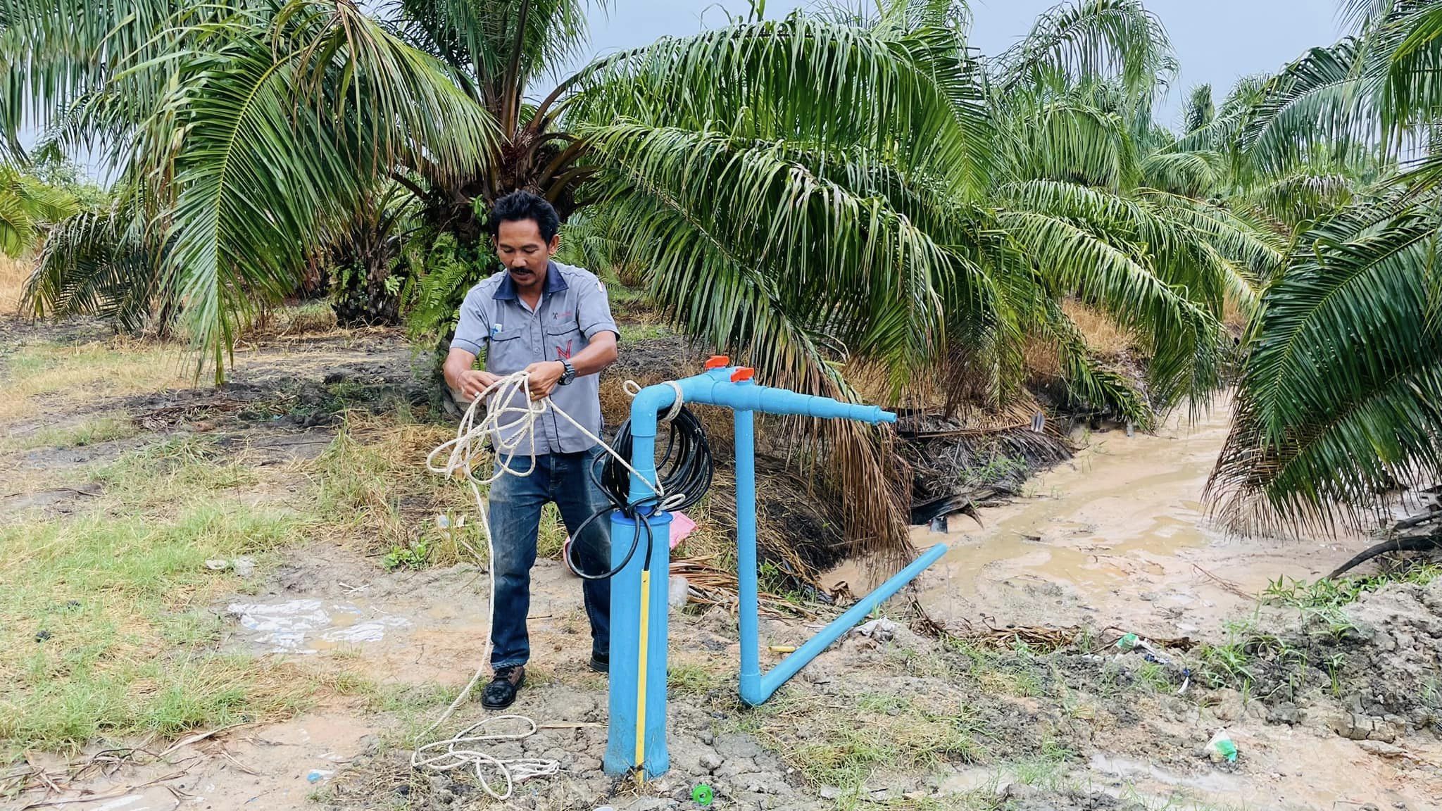 ชุดซัมเมิสปั้มบาดาล ขนาด 3 แรงม้า สวนปาล์มน้ำมัน