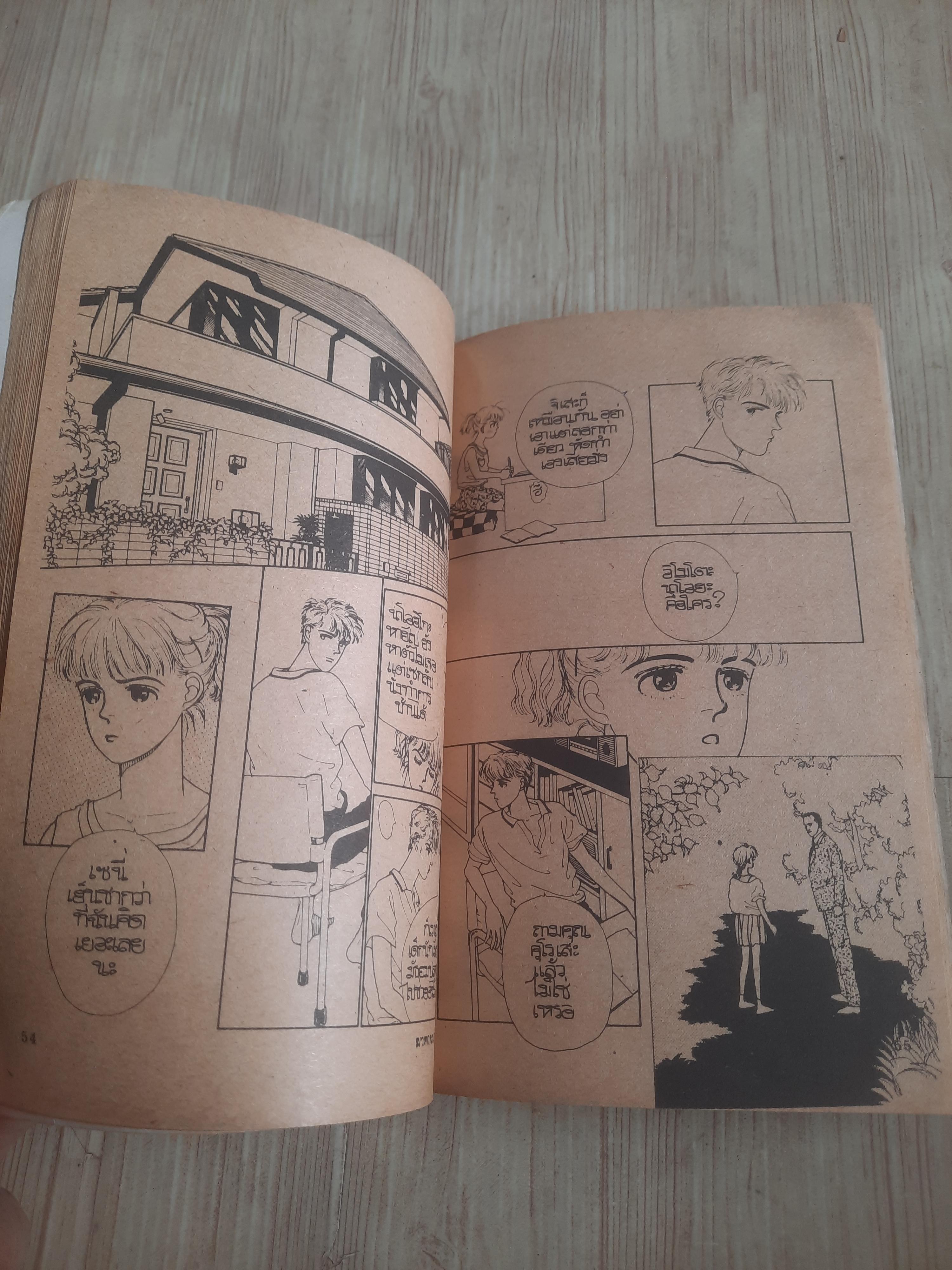 ฆาตกรรมอำพราง เล่มเดียวจบ Yachi Emiko เขียน