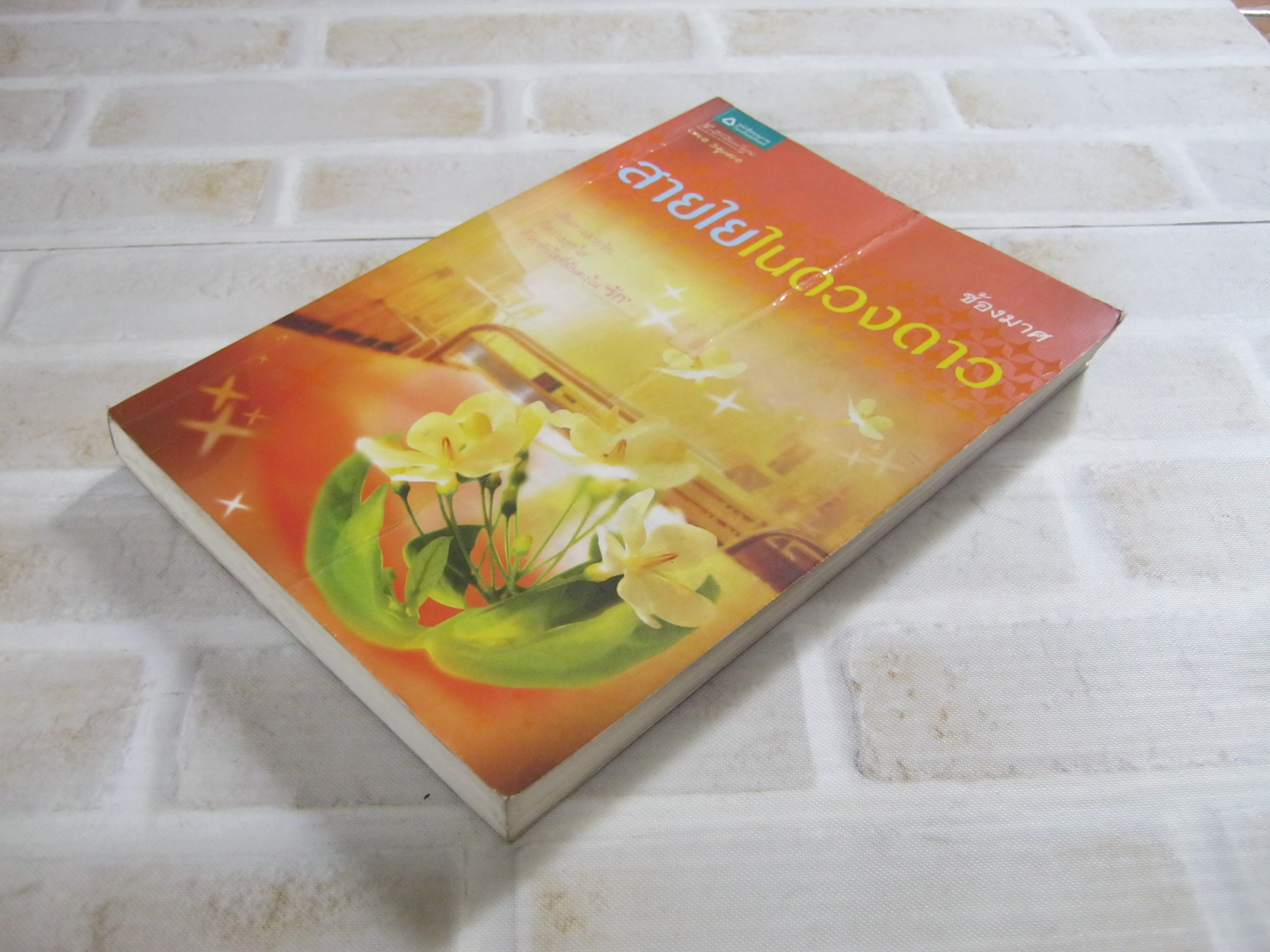 สายในในดวงดาว ช้องมาศ เขียน