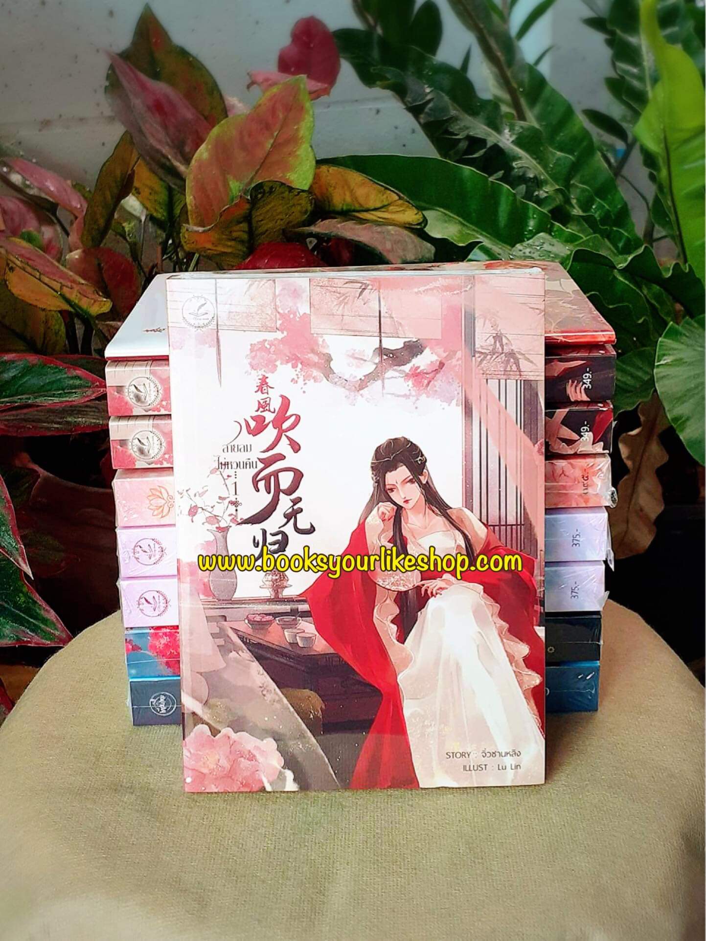 สายลมไม่หวนคืน 3 เล่มจบพร้อมเล่มพิเศษ,ไม่มี Boxsetผู้แต่ง,จิ่วซานหลิง,นิยายรักทำมือจีนโบราณ