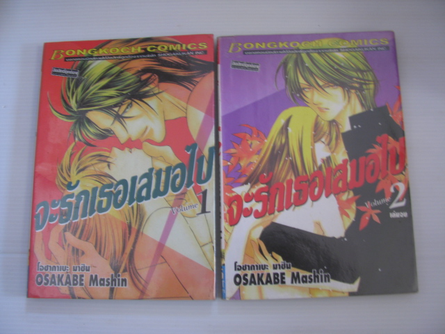 จะรักเธอเสมอไป ชุด เล่ม 1-2 ( 2 เล่มจบ ) โอซากาเบะ มาชิน เขียน***สินค้าหมด***
