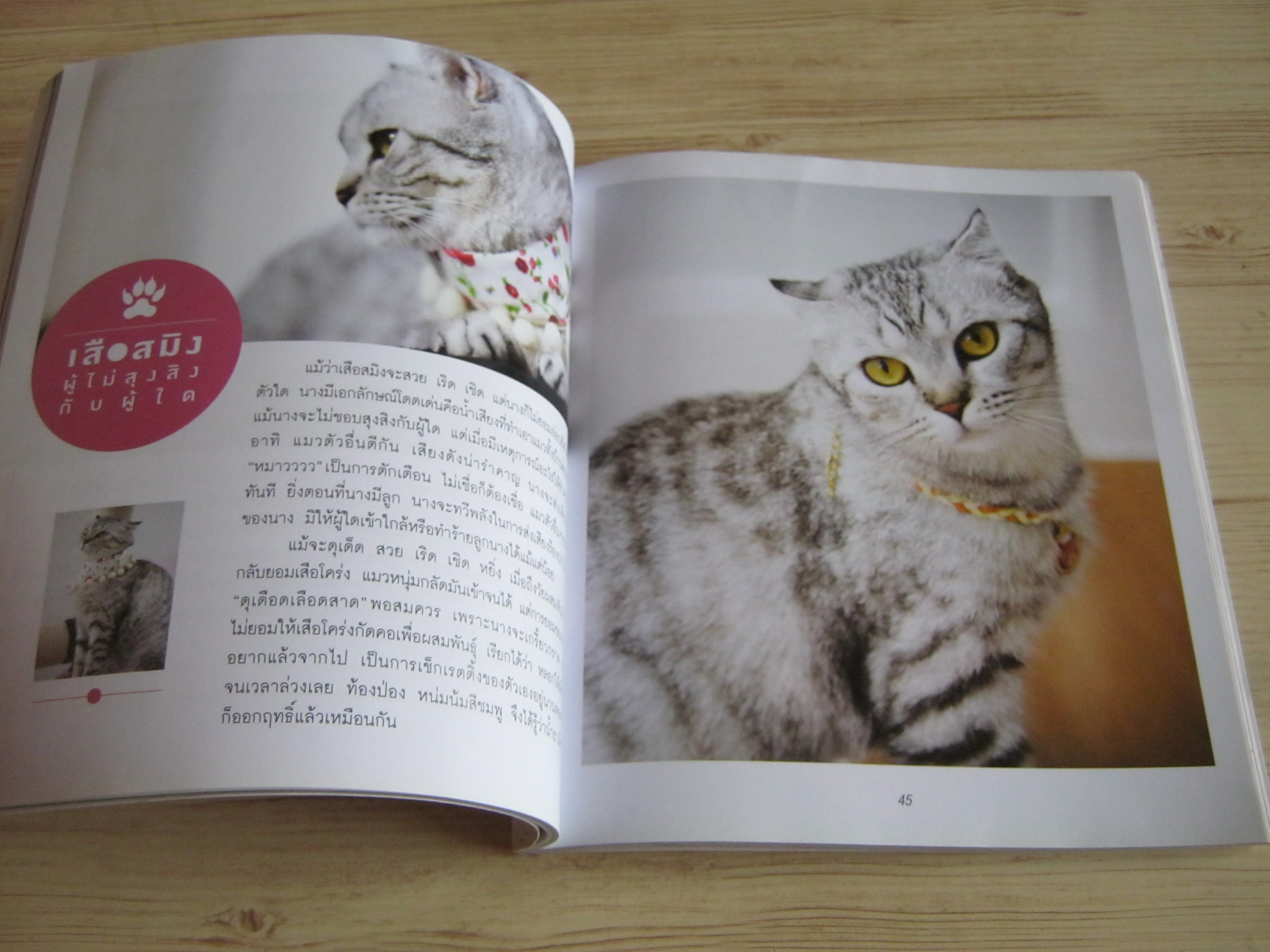 ทูนหัวของบ่าว พิมพฺ์ครั้งที่ 6 นัชญ์ ประสพสิน เรื่อง