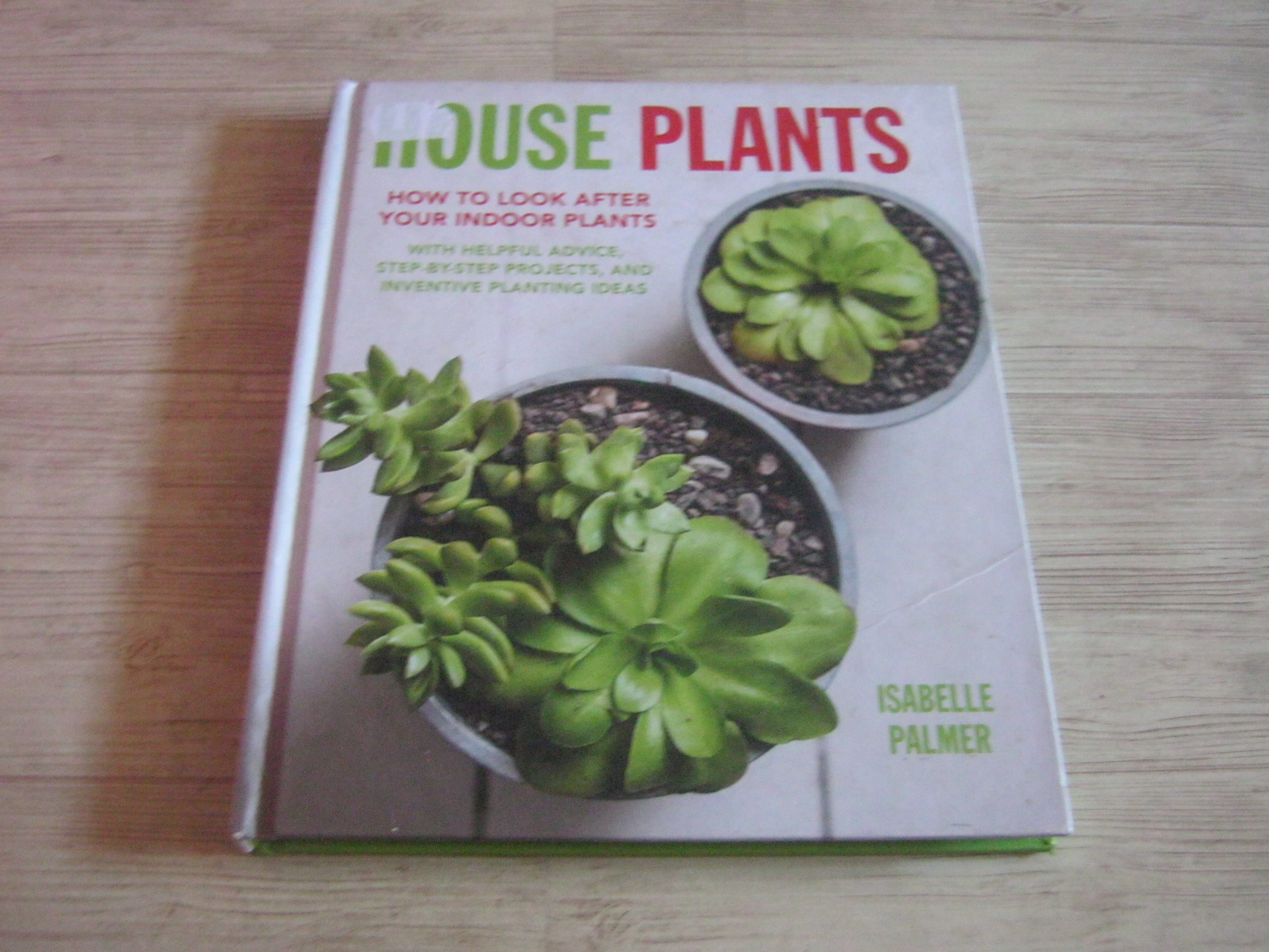 House Plants By Isabelle Palmer
