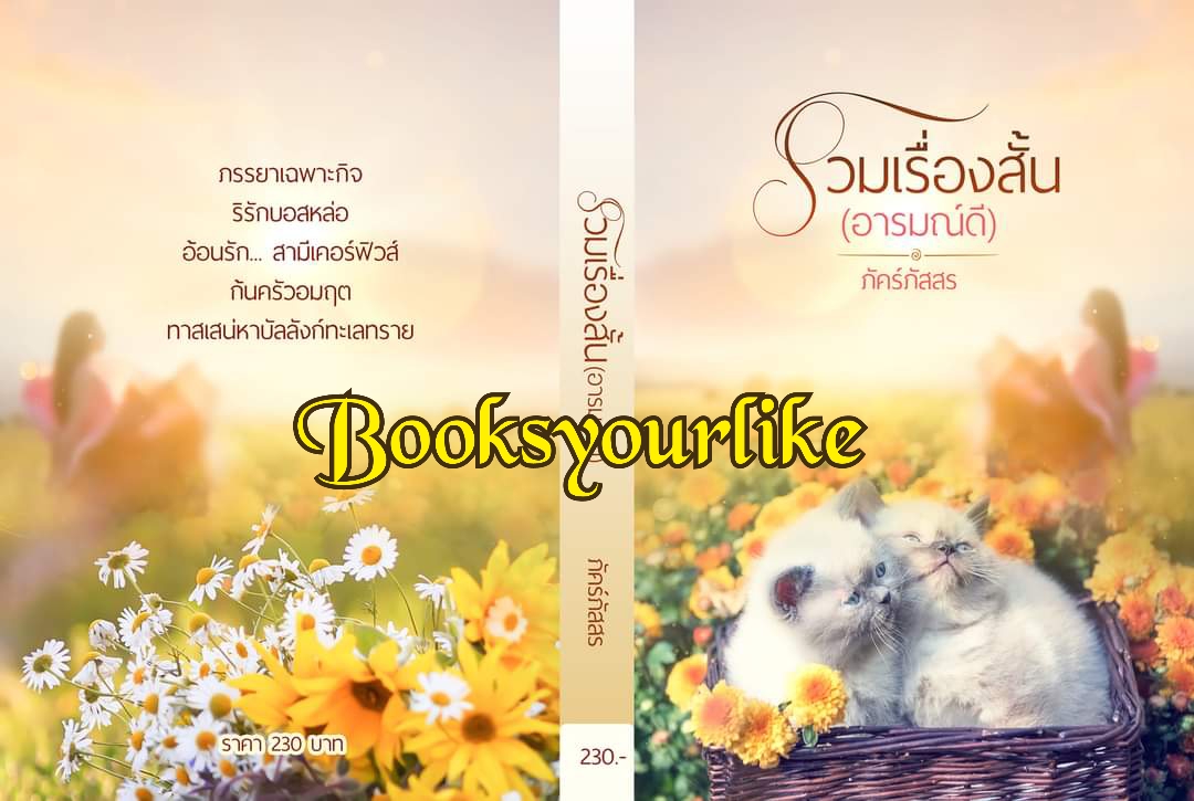 รวมเรื่องสั้น,ผู้แต่ง,ภัคร์ภัสสร,นิยายรักทำมือ