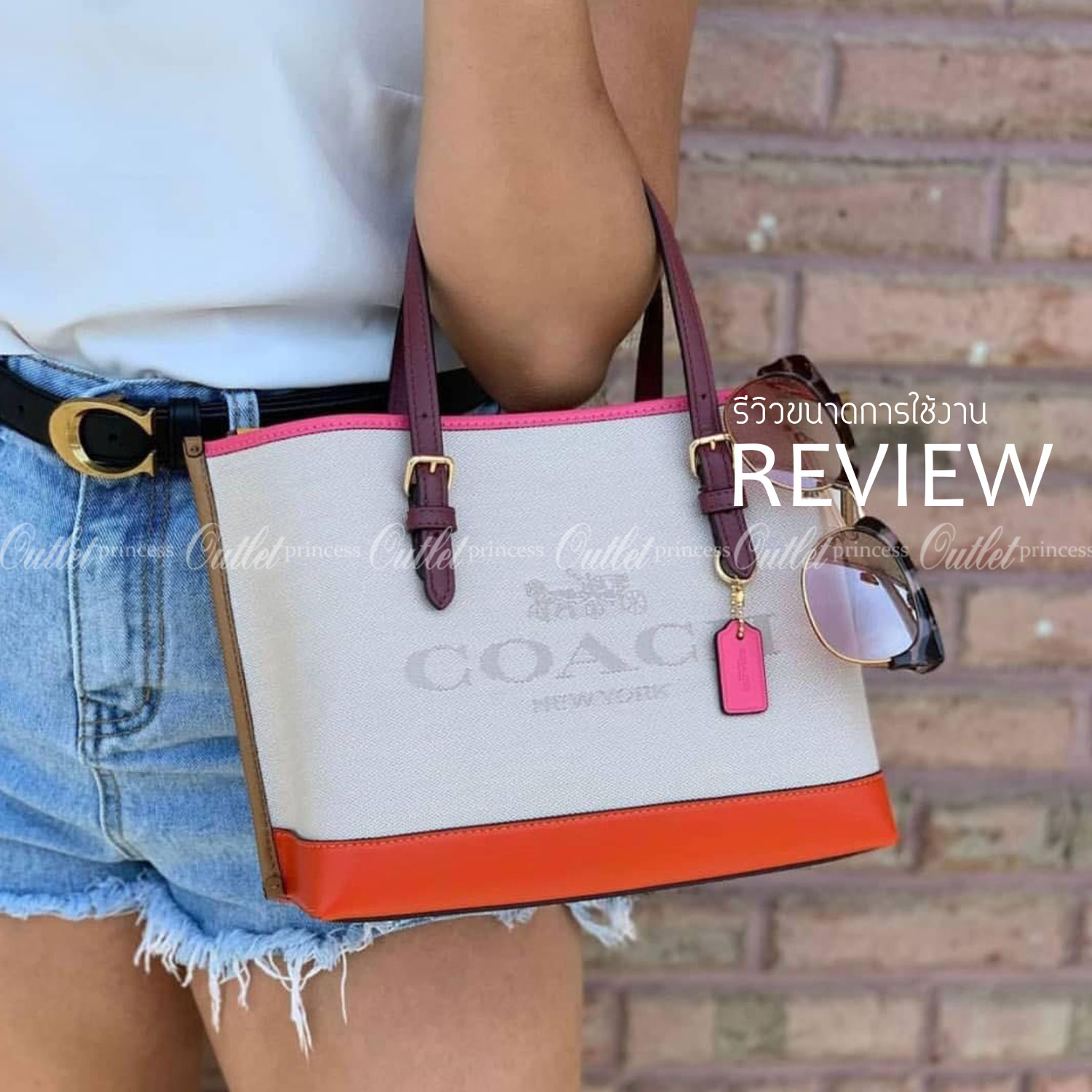 COACH C4085 MOLLIE TOTE 25 IN COLORBLOCK กระเป๋าทรงโท้ทยอดฮิต ขนาดมินิไซส์ ดีไซน์สวยคมทุกรุ่น!! ตกแต่งซิกเนเจอร์ถักทออยู่บนผ้าแคนวาส ดูโดดเด่น ภายในเป็นช่องโล่ง มีช่องซิปกลางใส่ของได้ ขนาดกำลังดีแบบใส่ของได้ครบครัน มาพร้อมสายสะพายข้าง หรือจะถือคล้องแขนเก๋