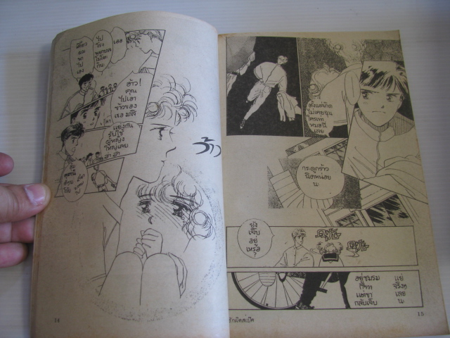 รักผิดสเป๊ค เล่มเดียวจบ ชิมิสึ โยชิโกะ เขียน