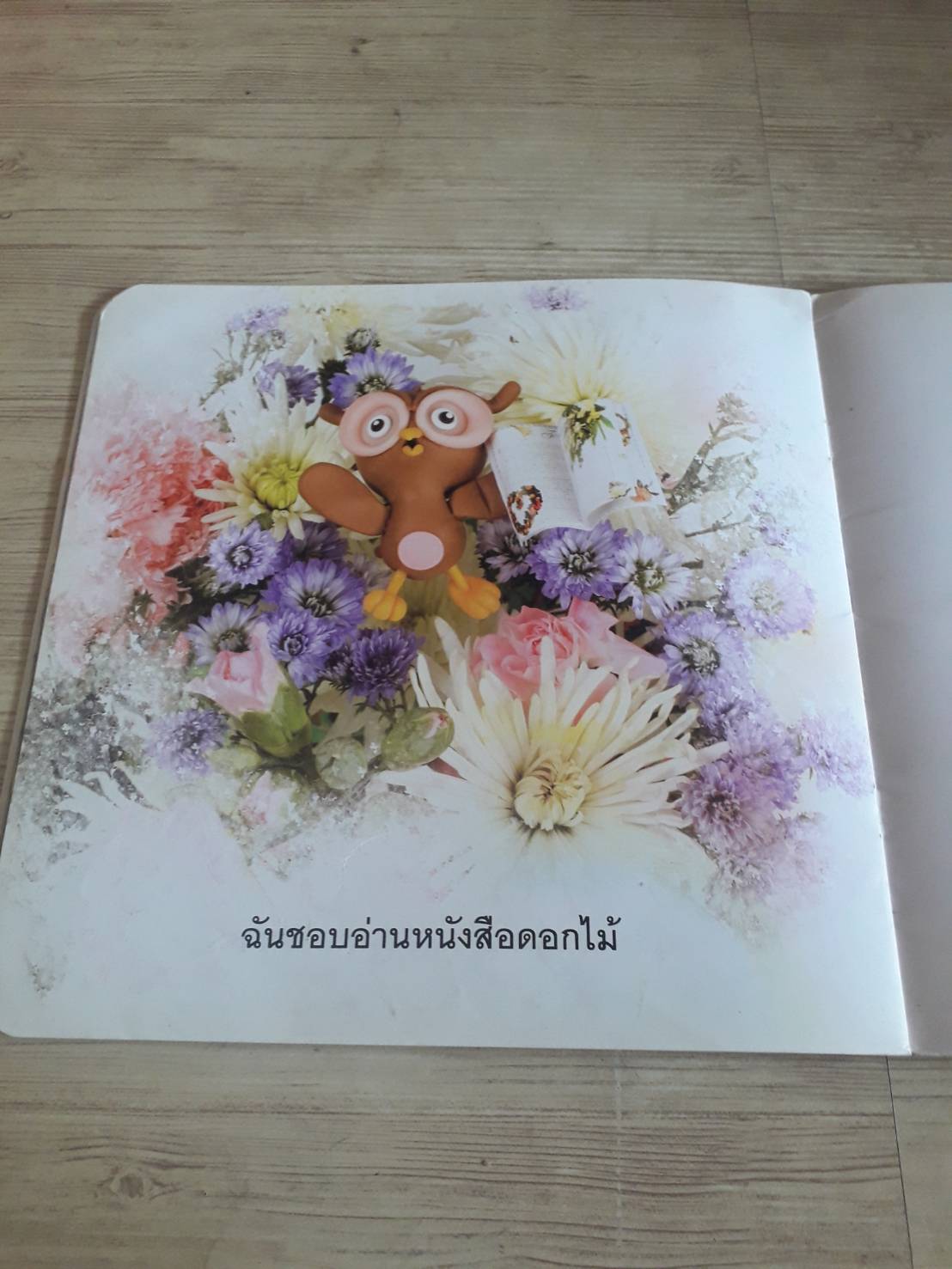ฉันชอบอ่านหนังสือ น้านกฮูก เรื่อง ณัฐพล ชัยวัฒน์ ภาพ***สินค้าหมด***