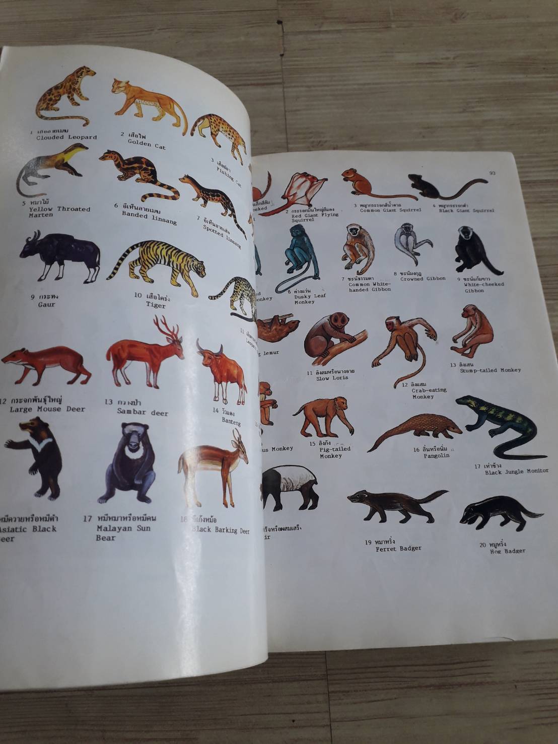 พจนานุกรมสัตว์และพืชในเมืองไทย ดร.วิทย์ เที่ยงบูรณธรรม เขียน (ปกแข็ง)***สินค้าหมด***