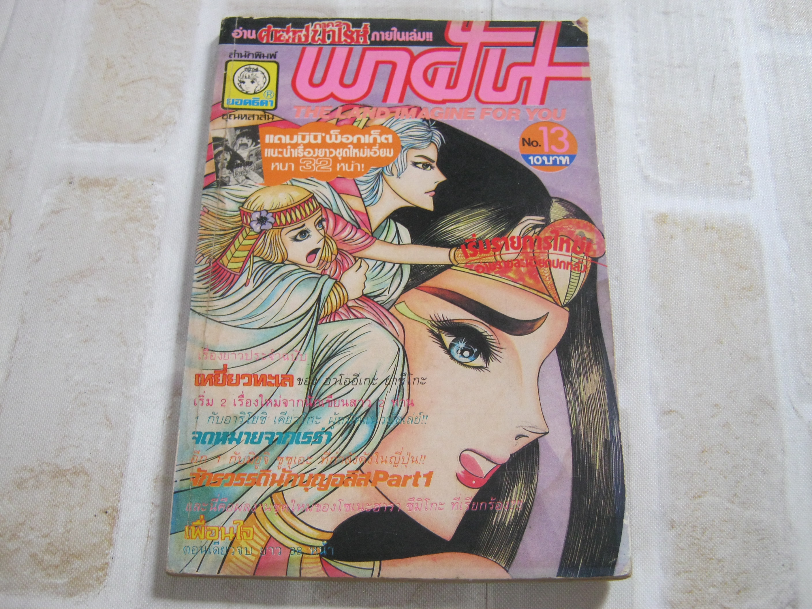 พาฝัน เล่ม 13