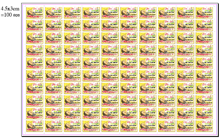 เลือกขนาดต่างๆที่นิยมปริ้น