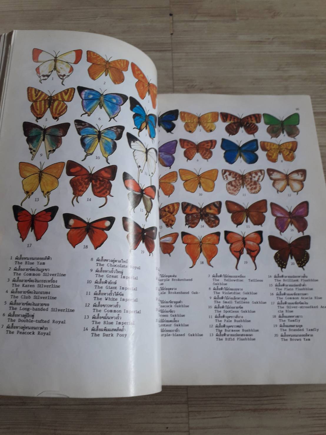 พจนานุกรมสัตว์และพืชในเมืองไทย ดร.วิทย์ เที่ยงบูรณธรรม เขียน (ปกแข็ง)***สินค้าหมด***