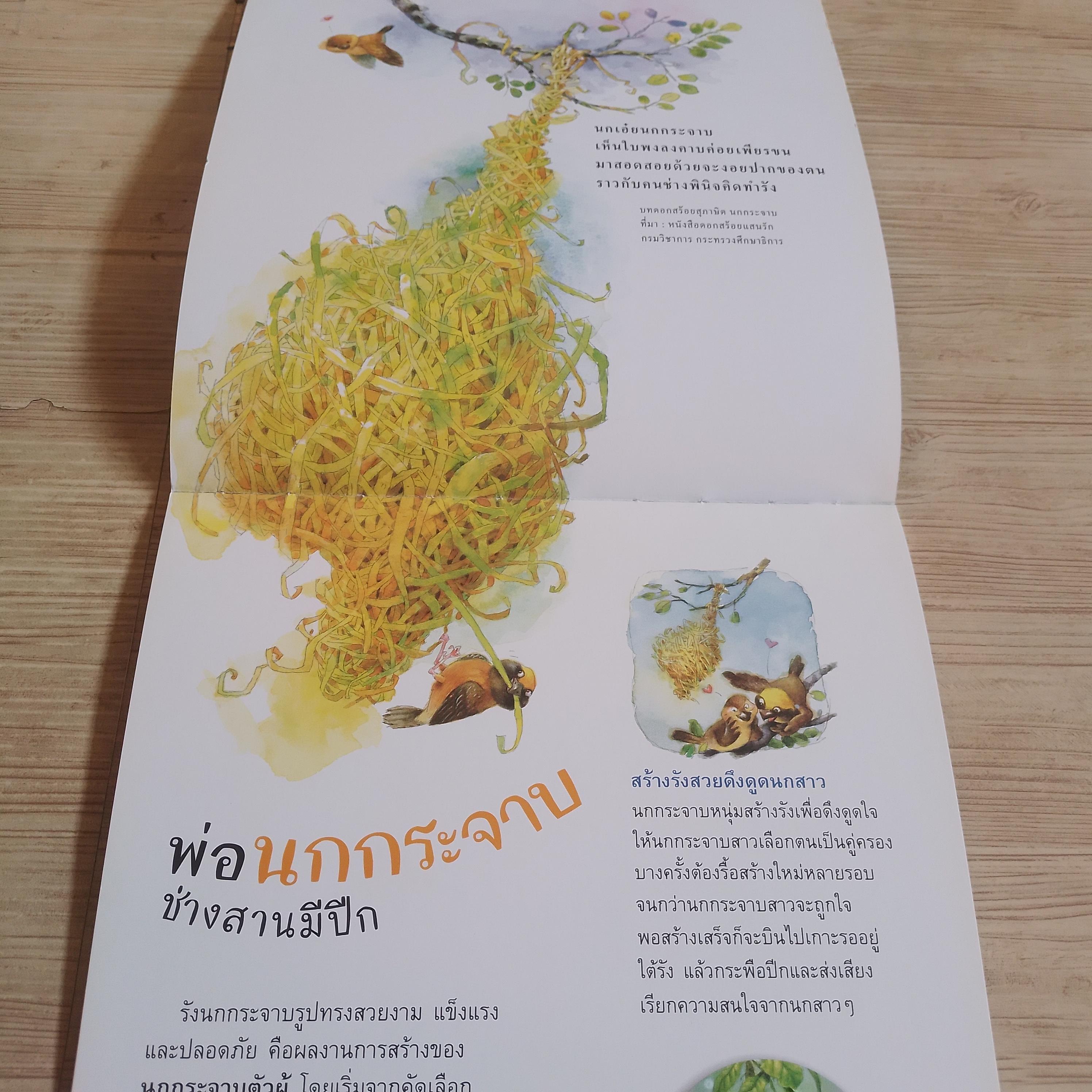 หนังสือชุดวิทยาศาสตร์รุ่นเยาว์ แปลกแต่จริง บ้านฉันมหัศจรรย์ โกศล ทองด้วงและคณะ ภาพ