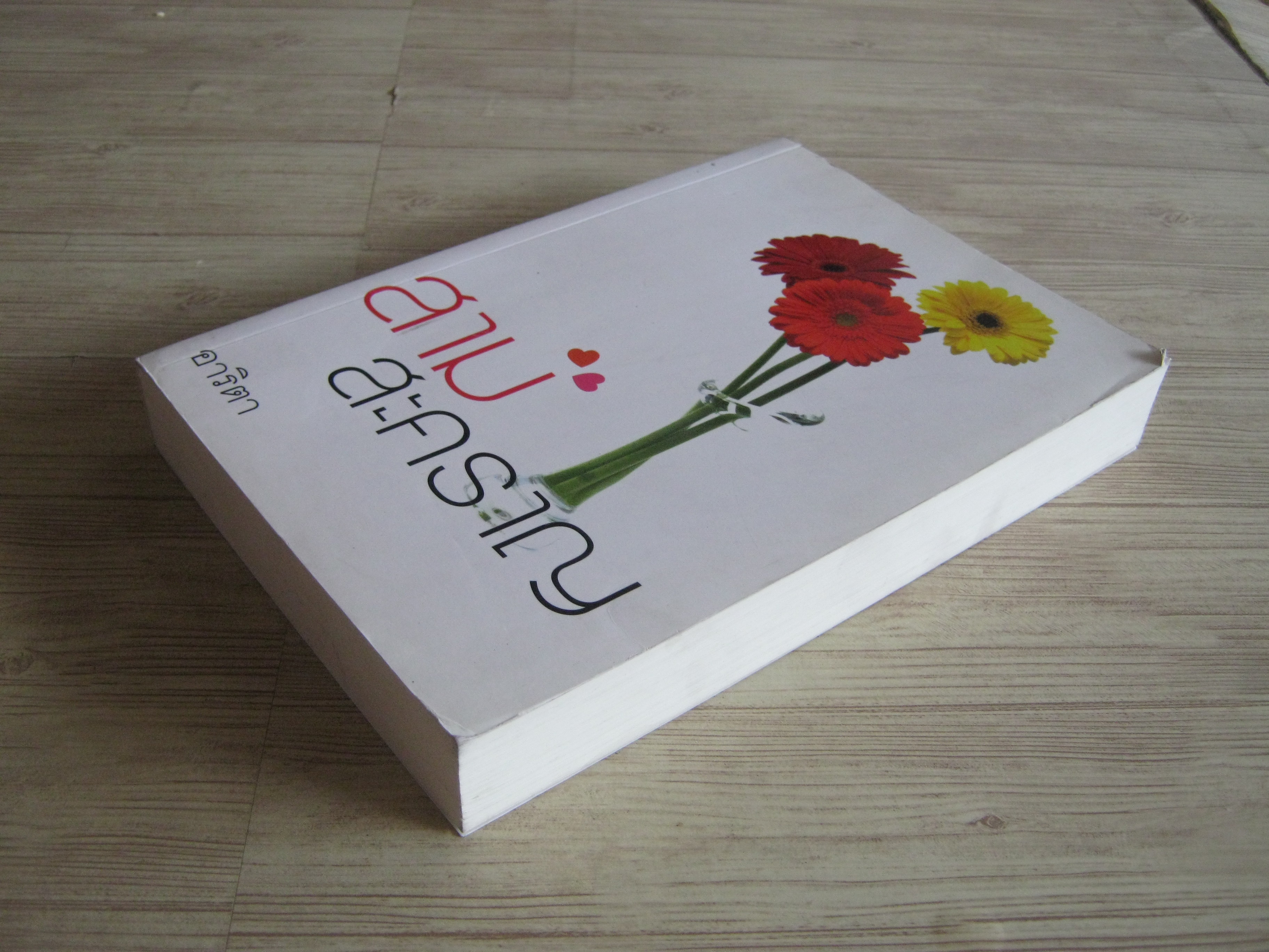 สามสะคราญ อาริตา เขียน