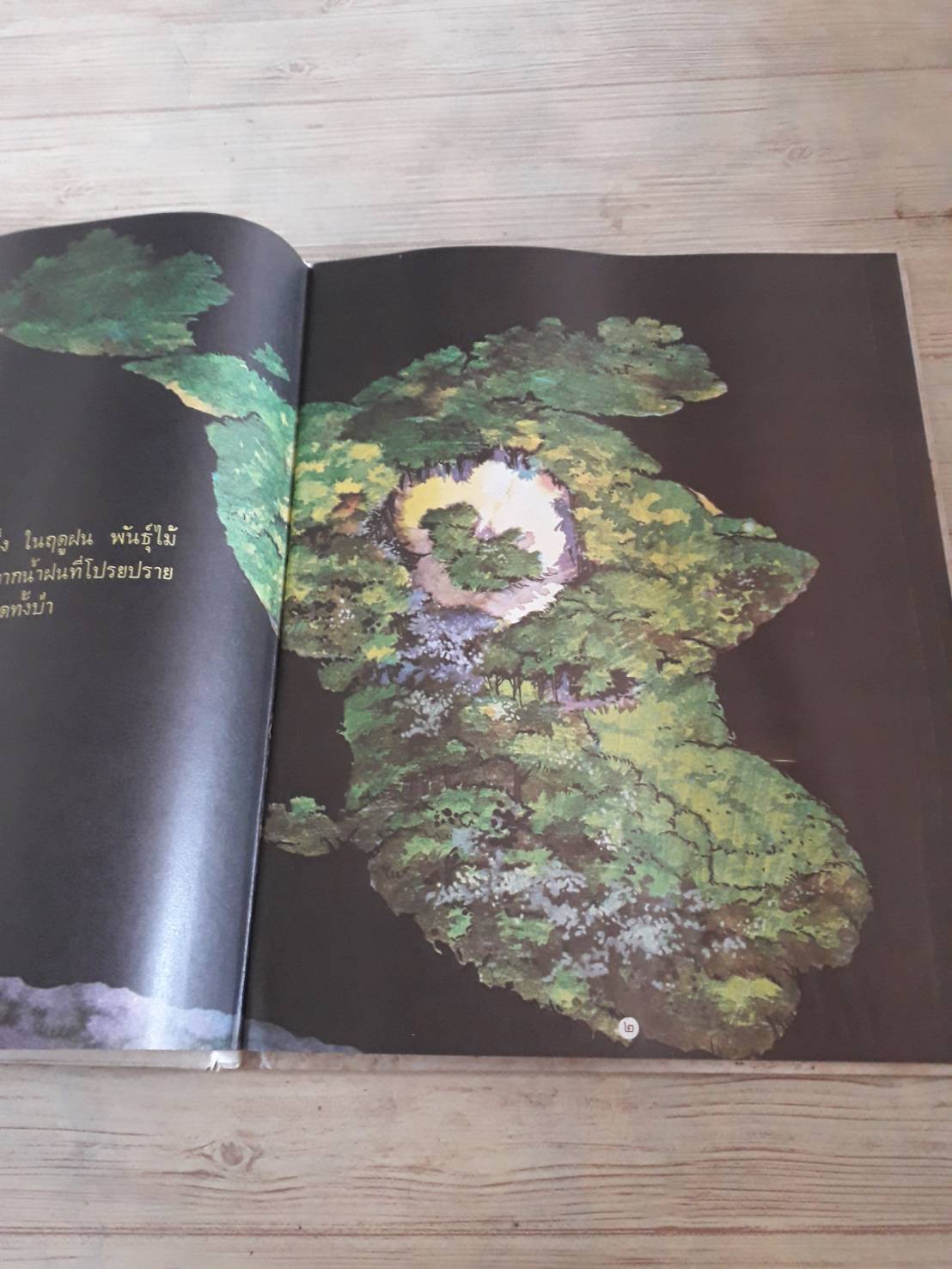 กระทิงน้อย ดร.สัญญา จัตตานนท์ เรื่อง วิน ภาพ