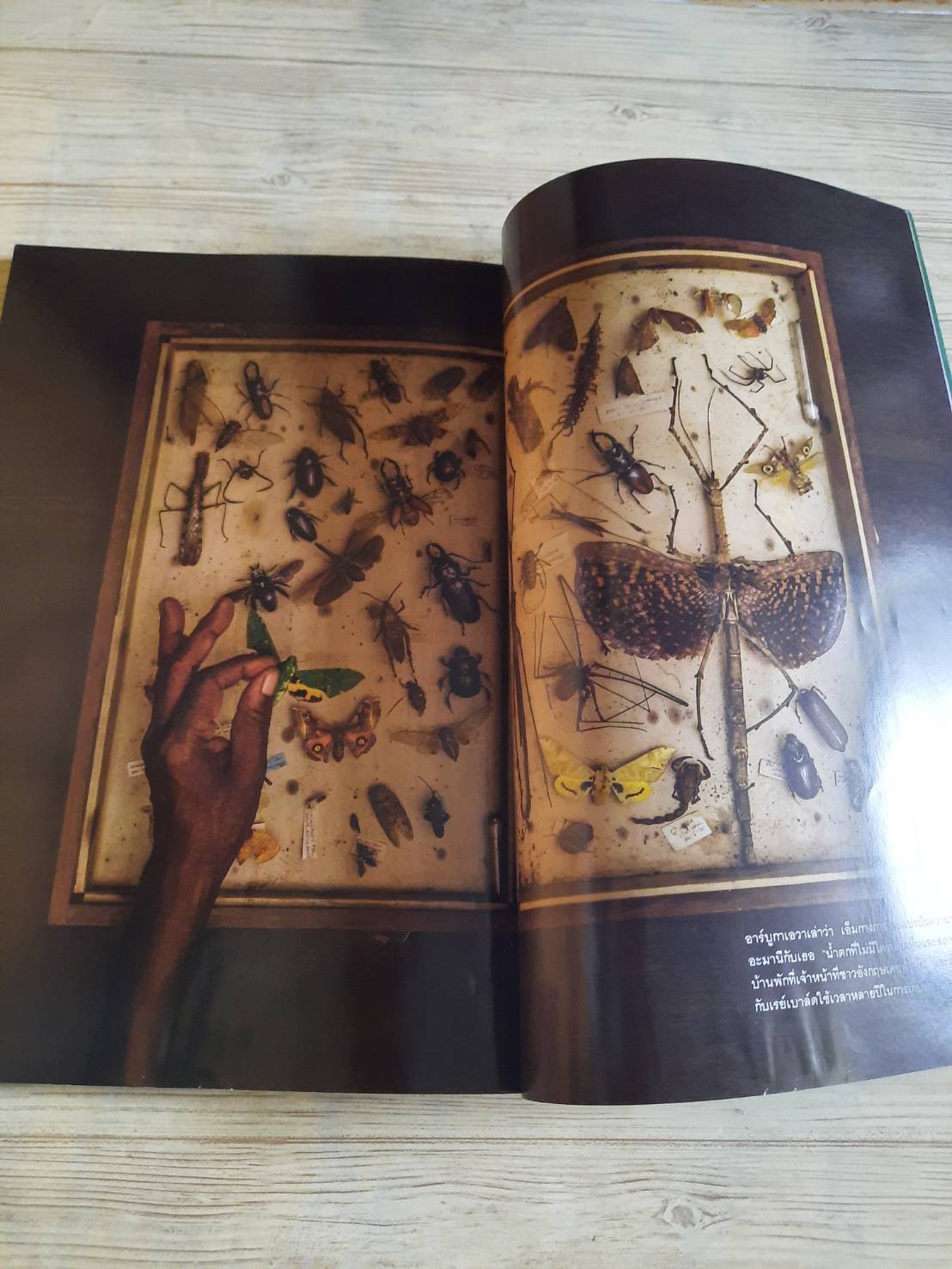 NATIONAL GEOGRAPHIC ฉบับภาษาไทย กุมภาพันธ์ 2560 โซเชียลมีเดีย ปรากฏการณ์ป่วนสังคม