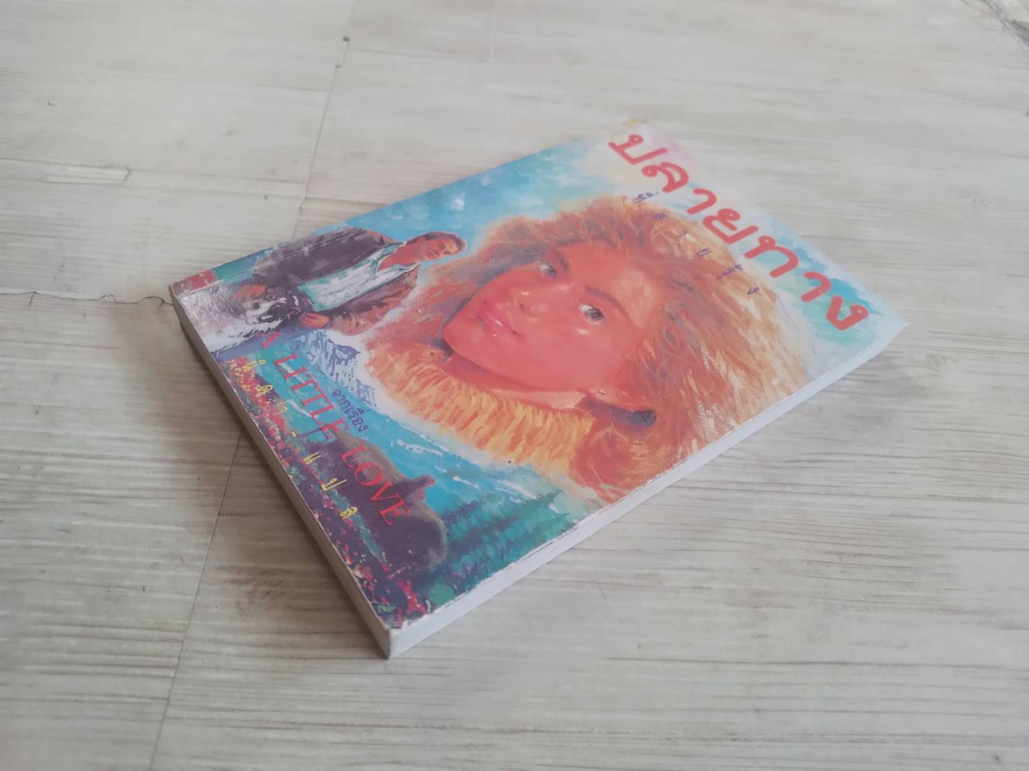 ปลายทางที่สายรุ้ง (A Little Love) นิดา แปล