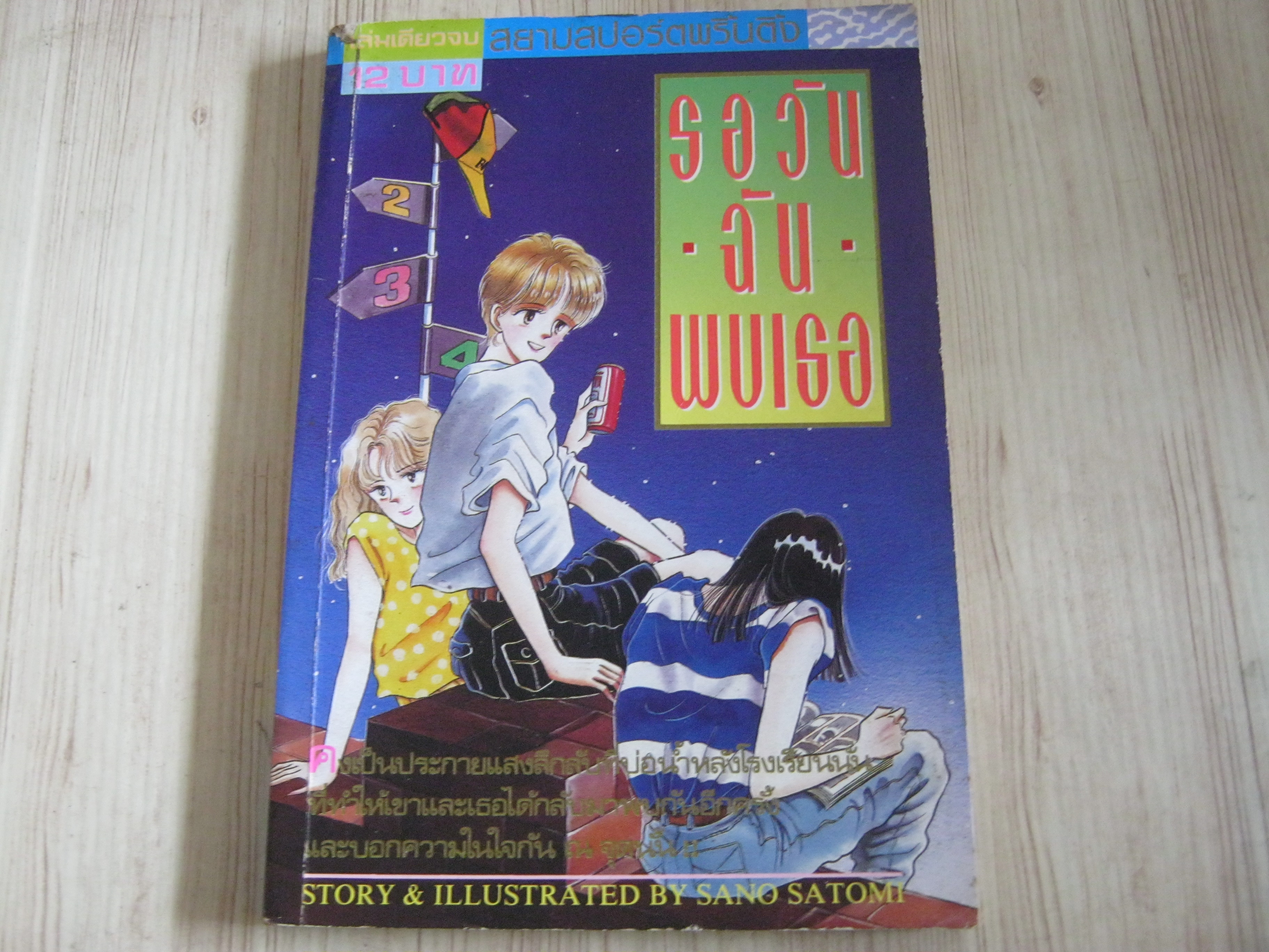 รอวันฉันพบเธอ เล่มเดียวจบ Sano Satomi เขียน