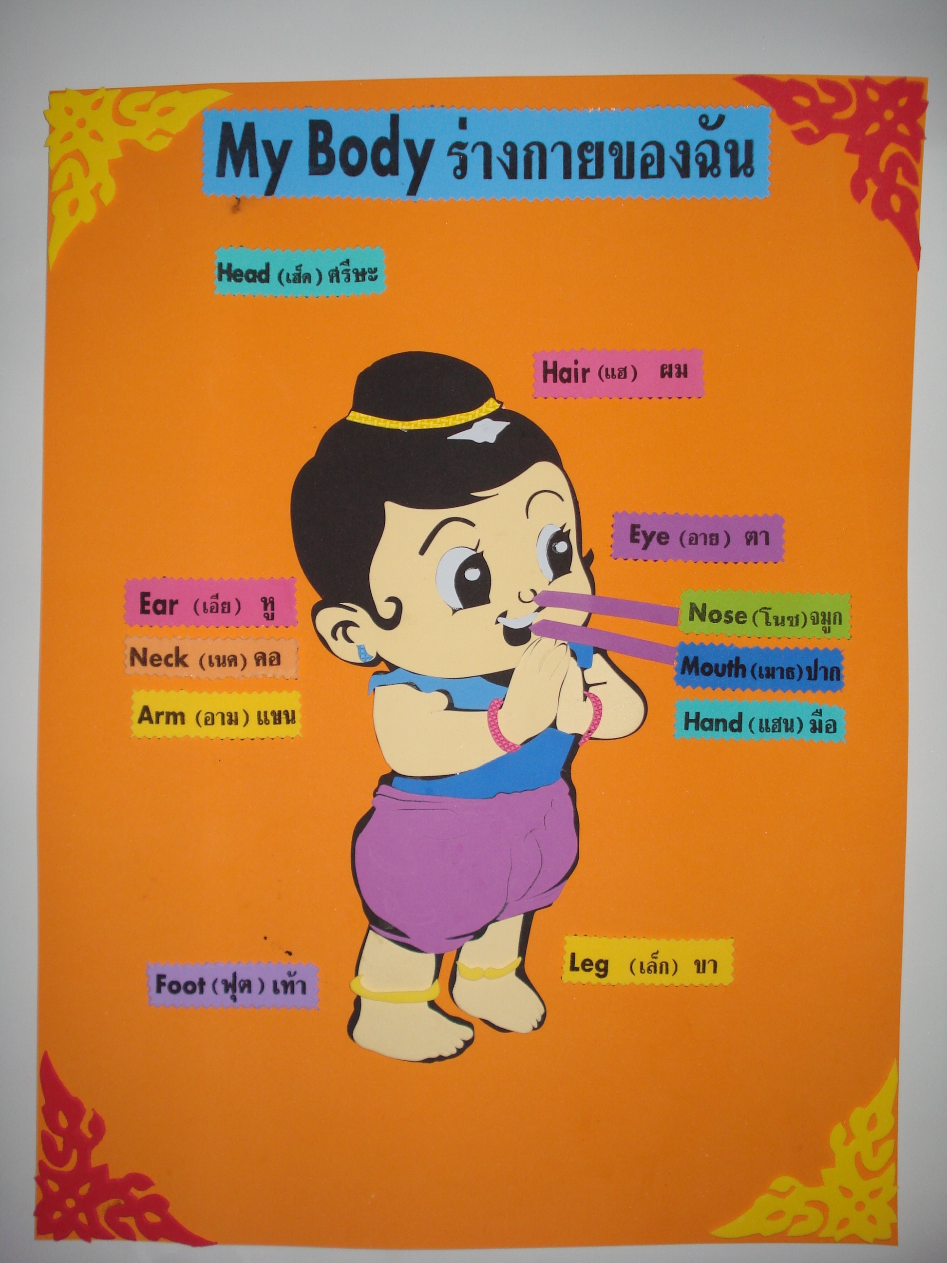 สื่อโฟมยาง My Body