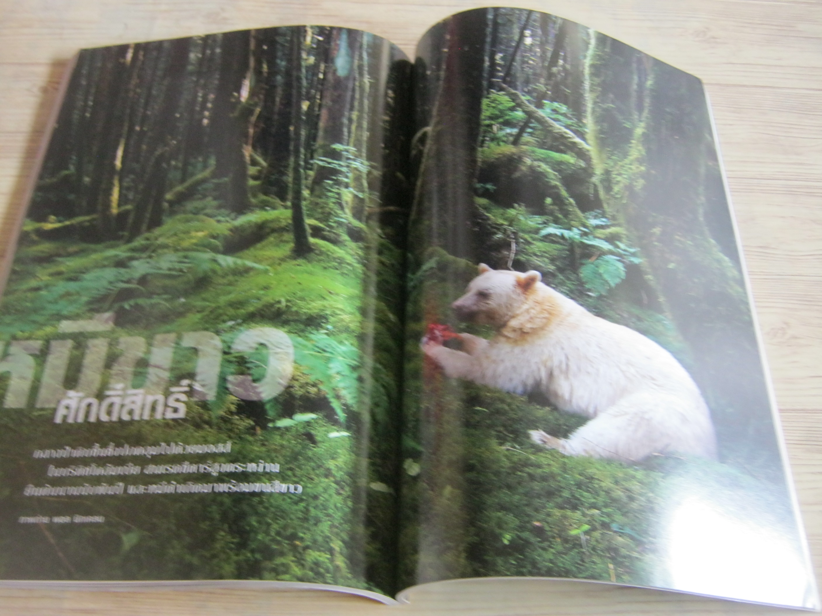NATIONAL GEOGRAPHIC ฉบับภาษาไทย สิงหาคม 2554 นวัตกรรมไฮเทคหุ่นยนต์กลายเป็นมนุษย์