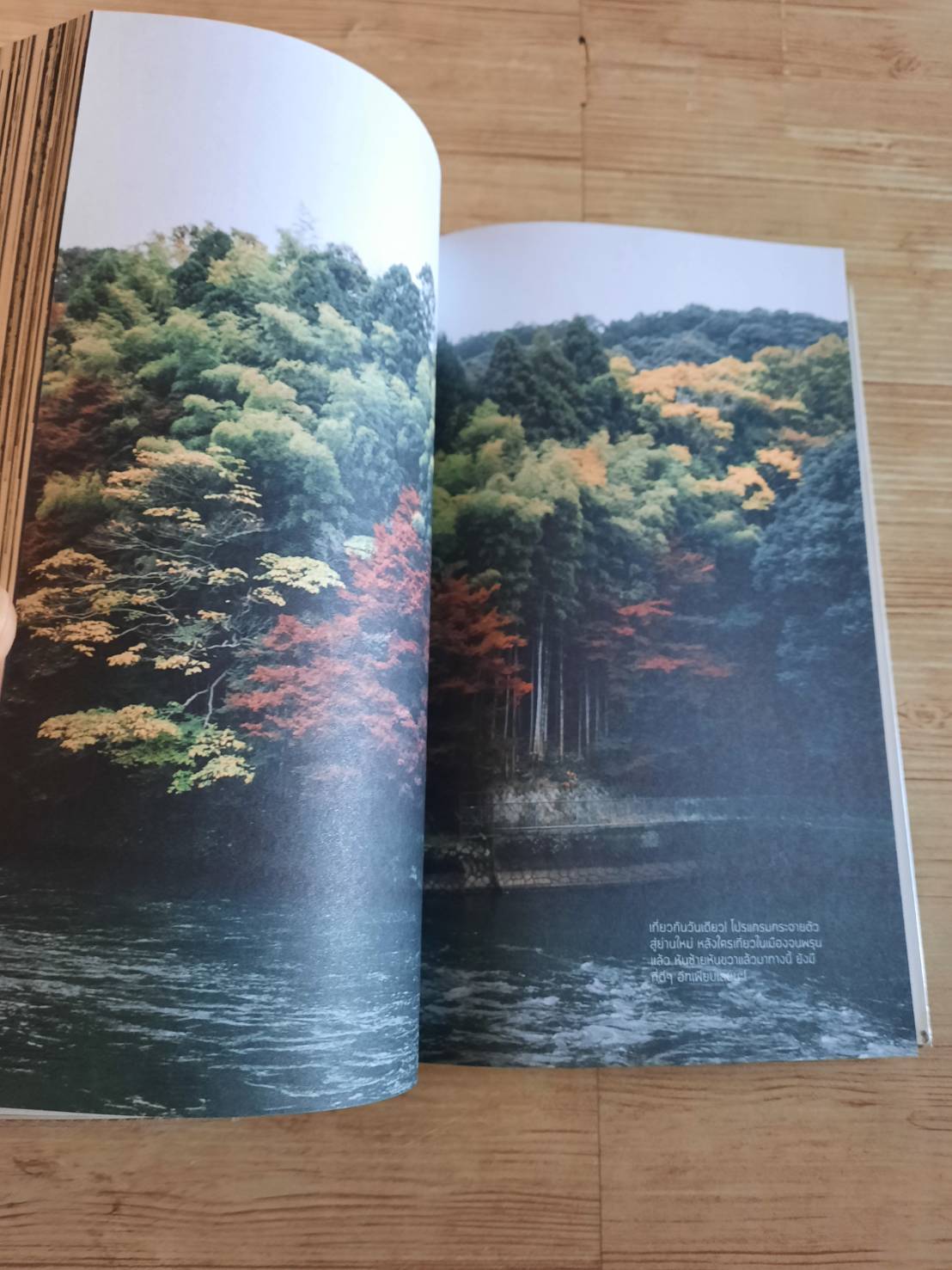 KYOTO SELECTED โดย ณิชมน หิรัญพฤกษ์